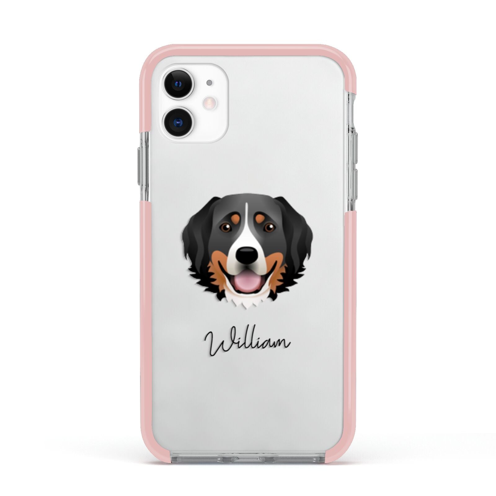 Bernese Mountain Dog Personalised Apple iPhone 11 in White with Pink Impact Case