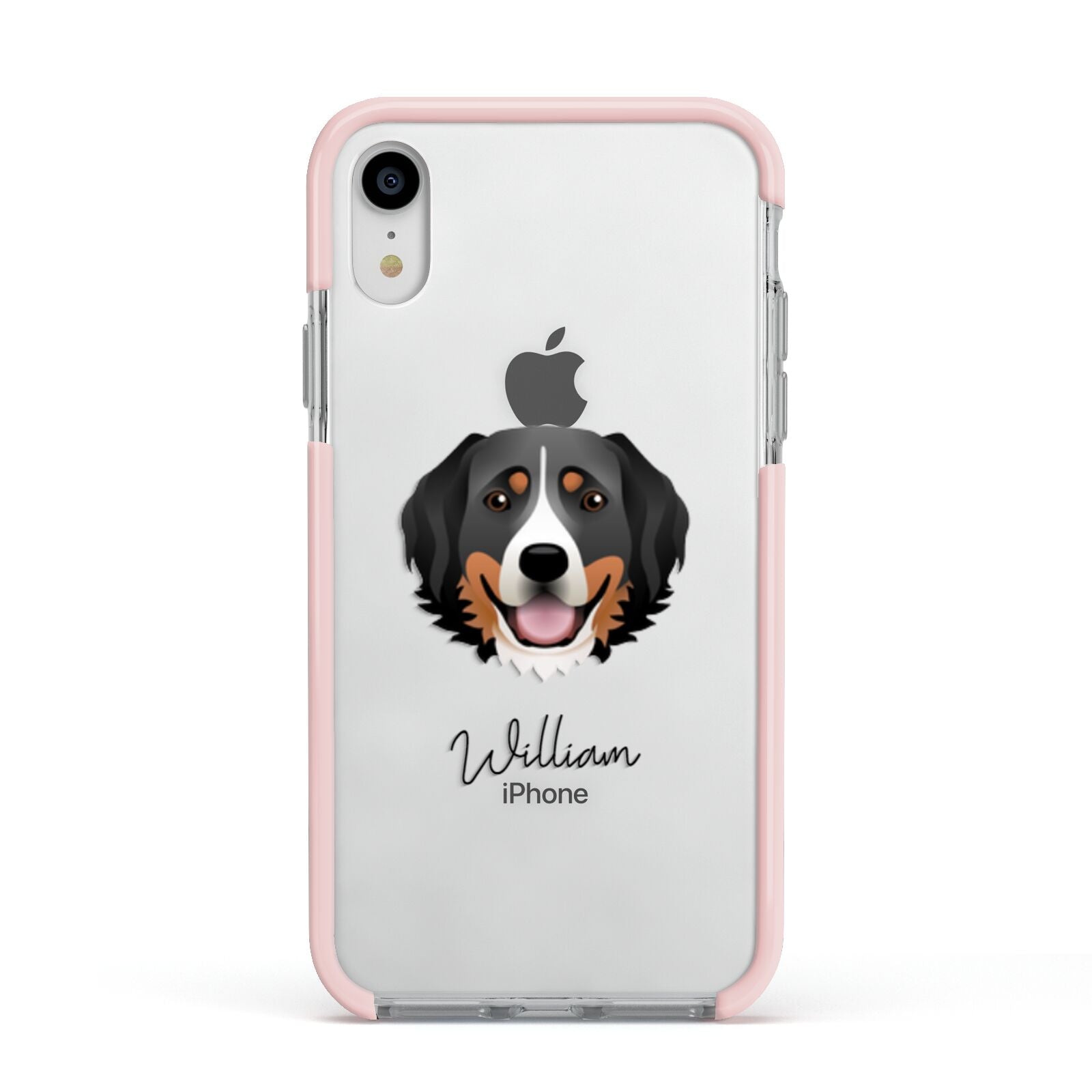 Bernese Mountain Dog Personalised Apple iPhone XR Impact Case Pink Edge on Silver Phone