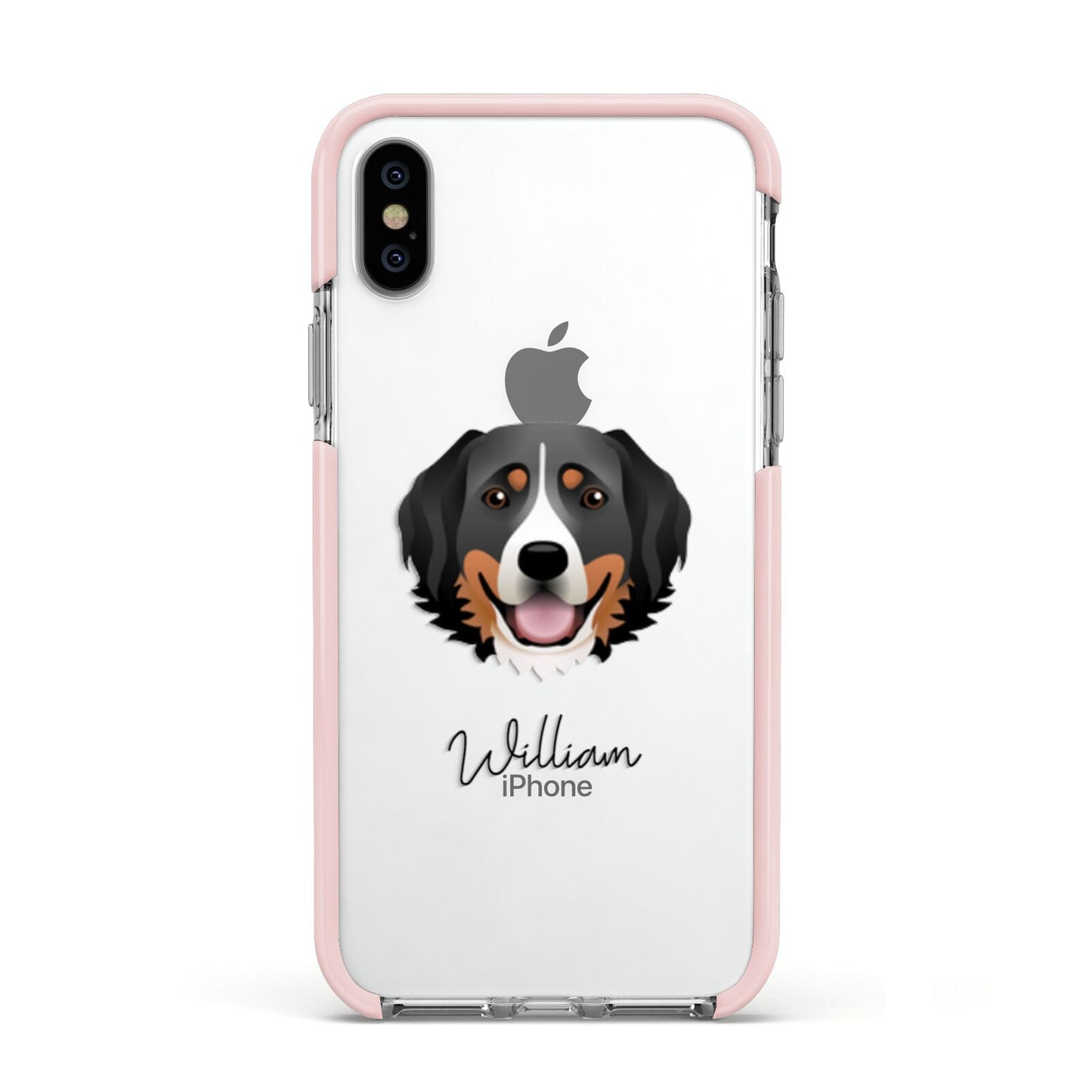 Bernese Mountain Dog Personalised Apple iPhone Xs Impact Case Pink Edge on Silver Phone
