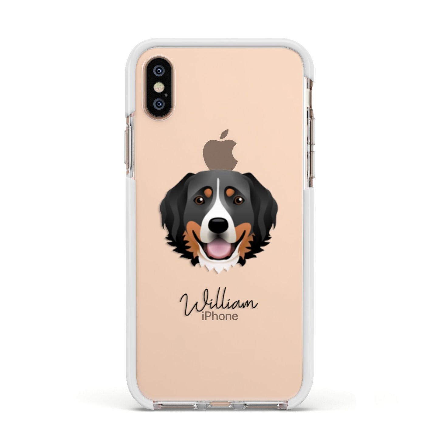 Bernese Mountain Dog Personalised Apple iPhone Xs Impact Case White Edge on Gold Phone