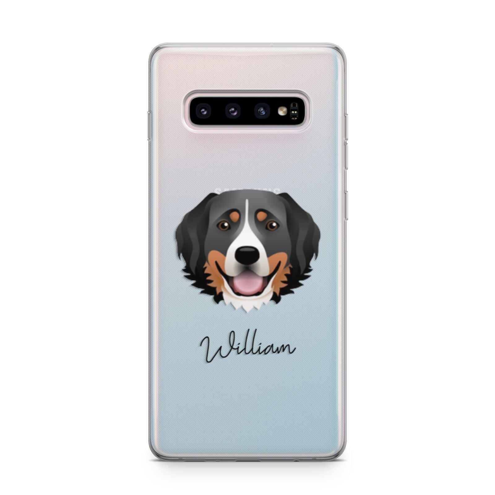 Bernese Mountain Dog Personalised Samsung Galaxy S10 Plus Case