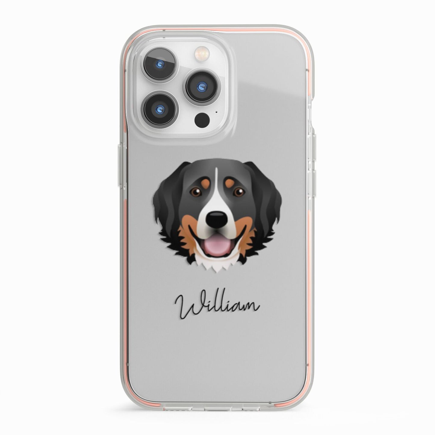 Bernese Mountain Dog Personalised iPhone 13 Pro TPU Impact Case with Pink Edges