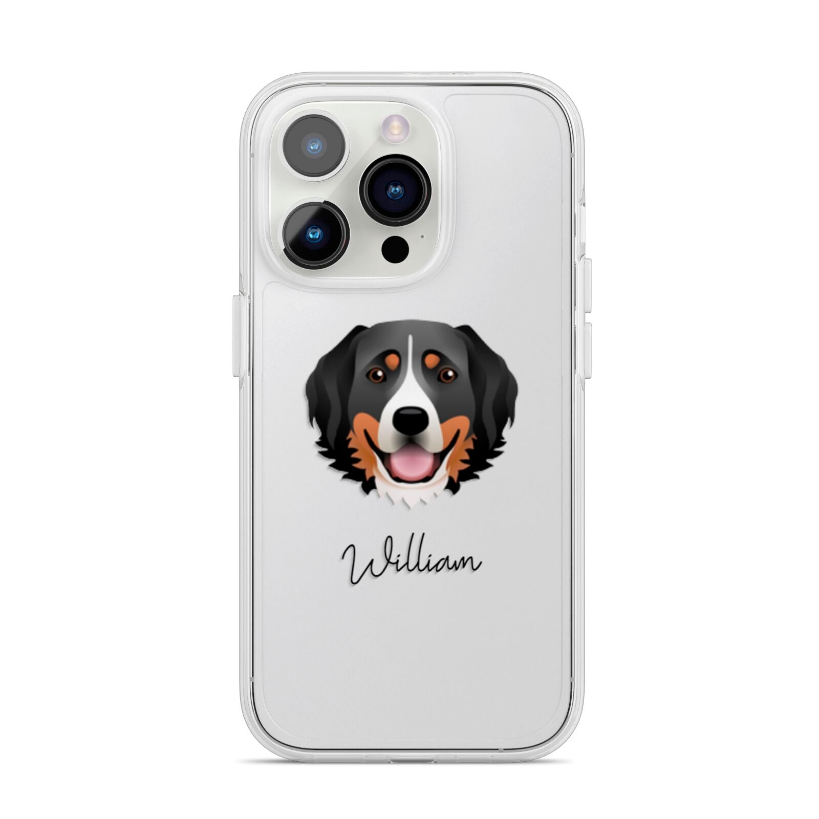 Bernese Mountain Dog Personalised iPhone 14 Pro Clear Tough Case Silver