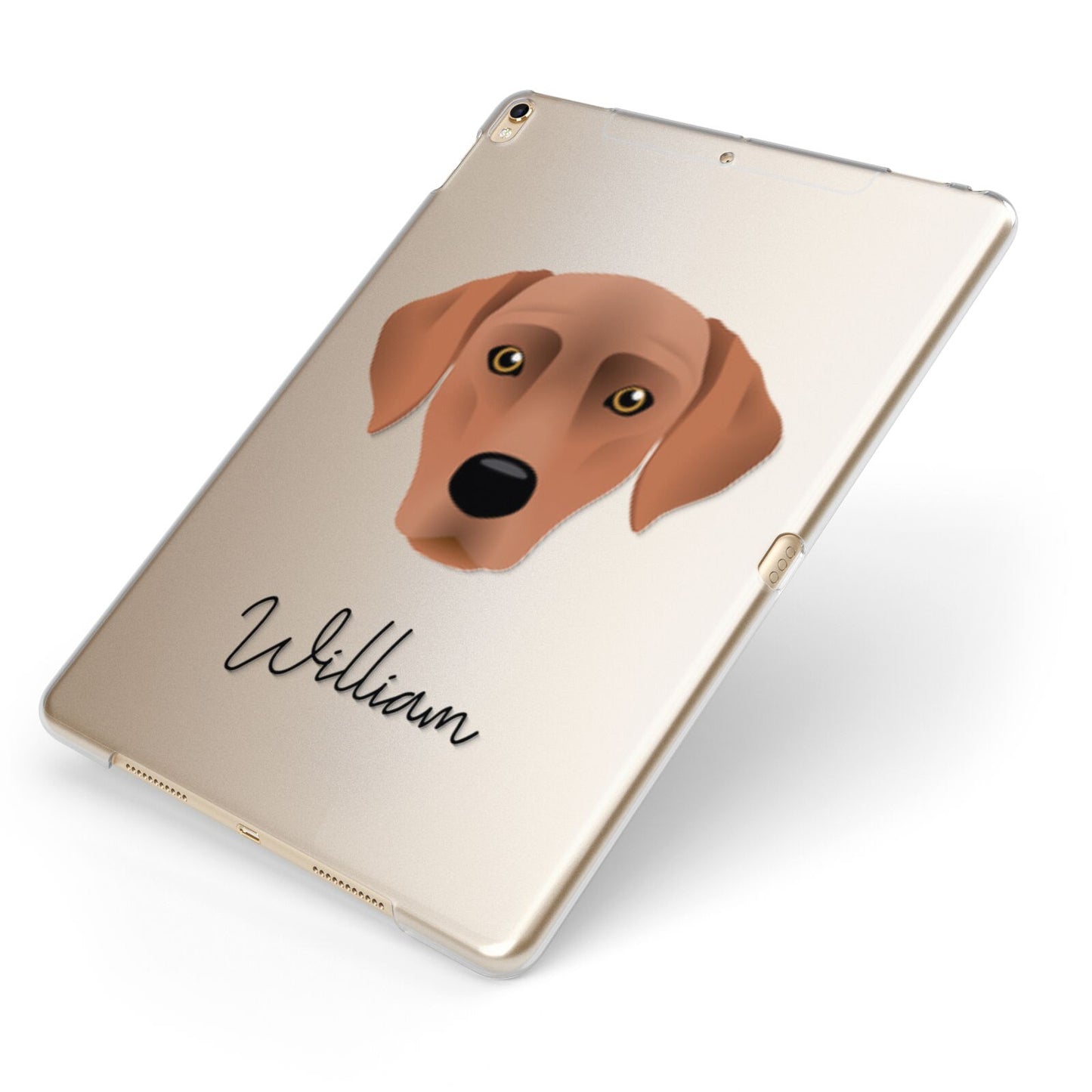 Blue Lacy Personalised Apple iPad Case on Gold iPad Side View
