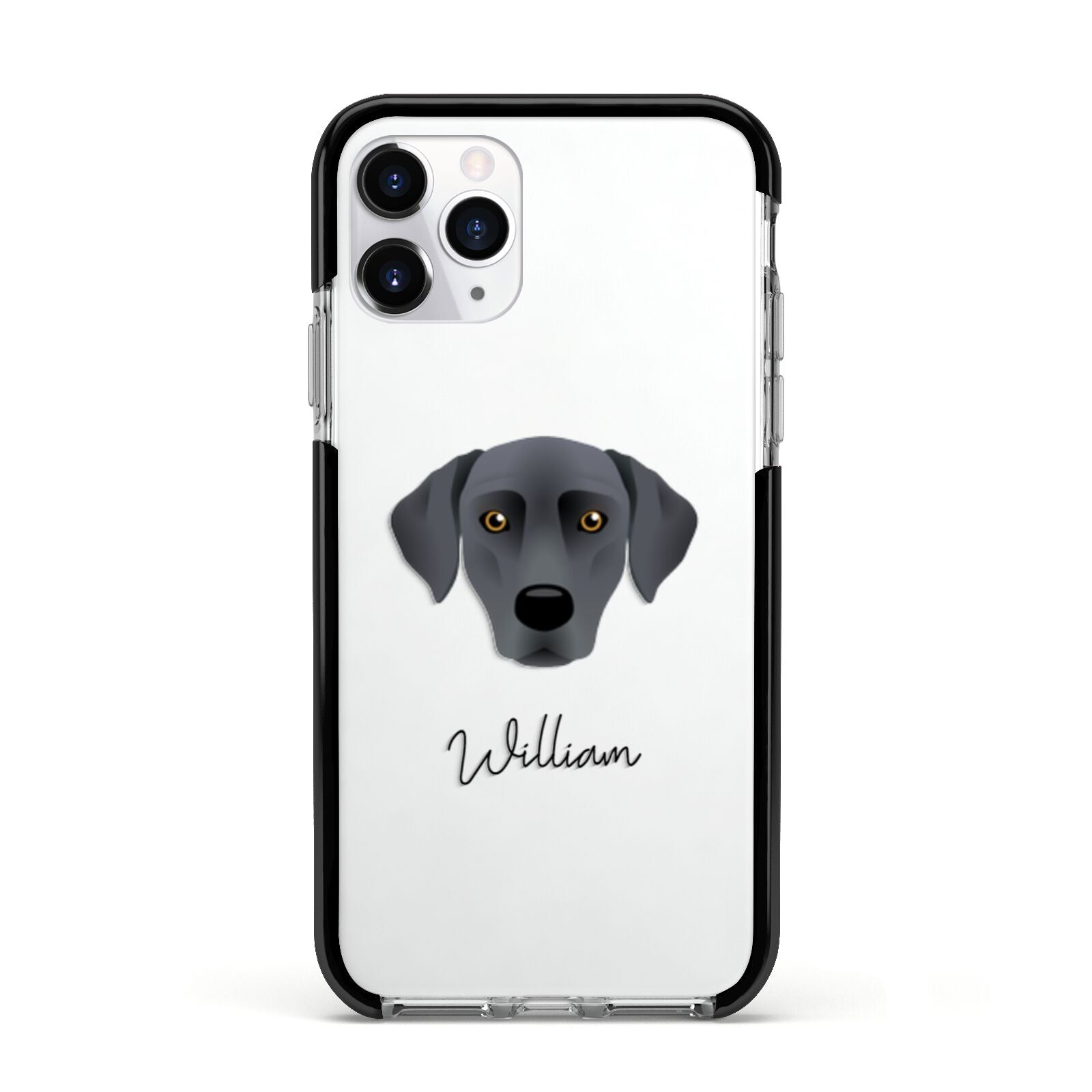 Blue Lacy Personalised Apple iPhone 11 Pro in Silver with Black Impact Case