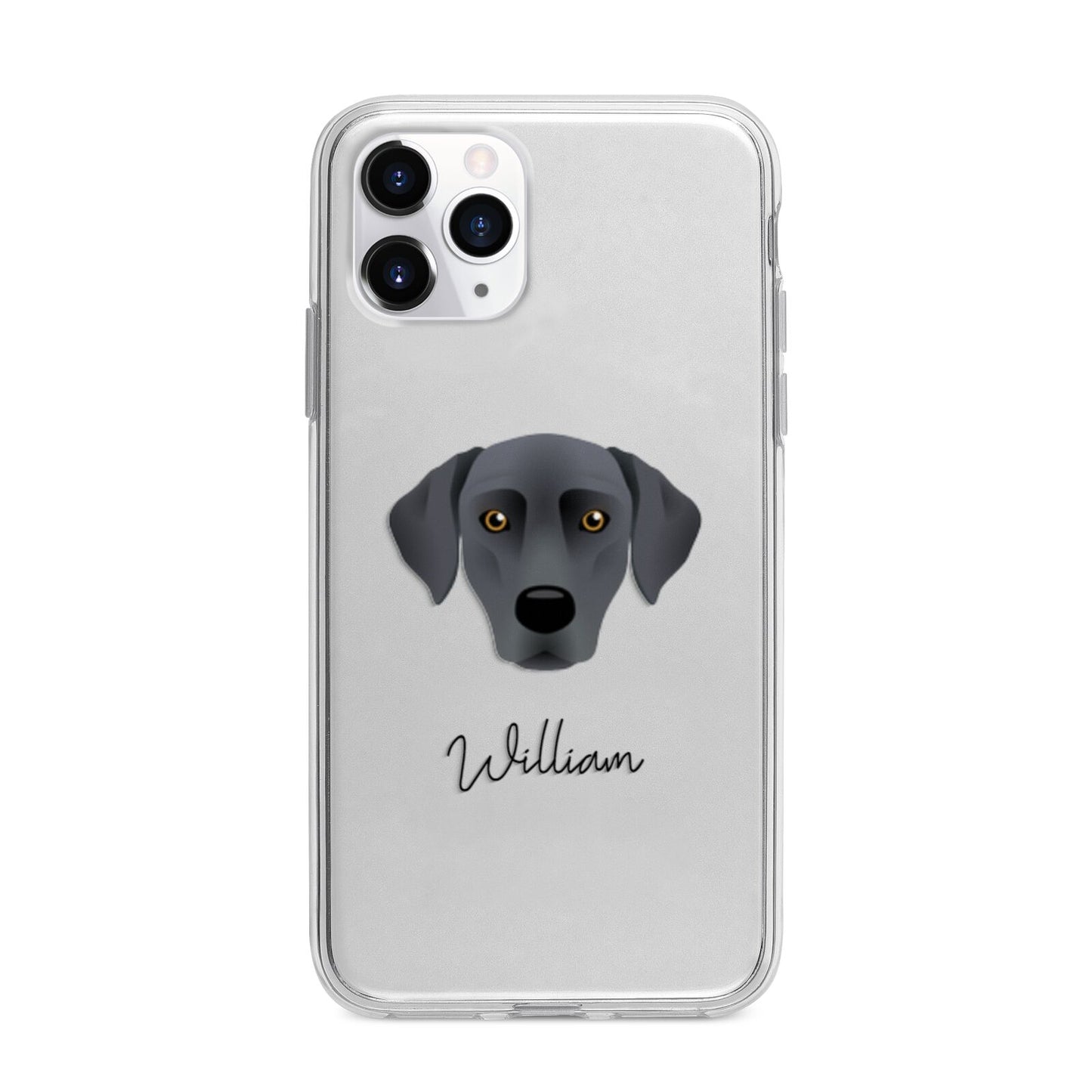 Blue Lacy Personalised Apple iPhone 11 Pro in Silver with Bumper Case
