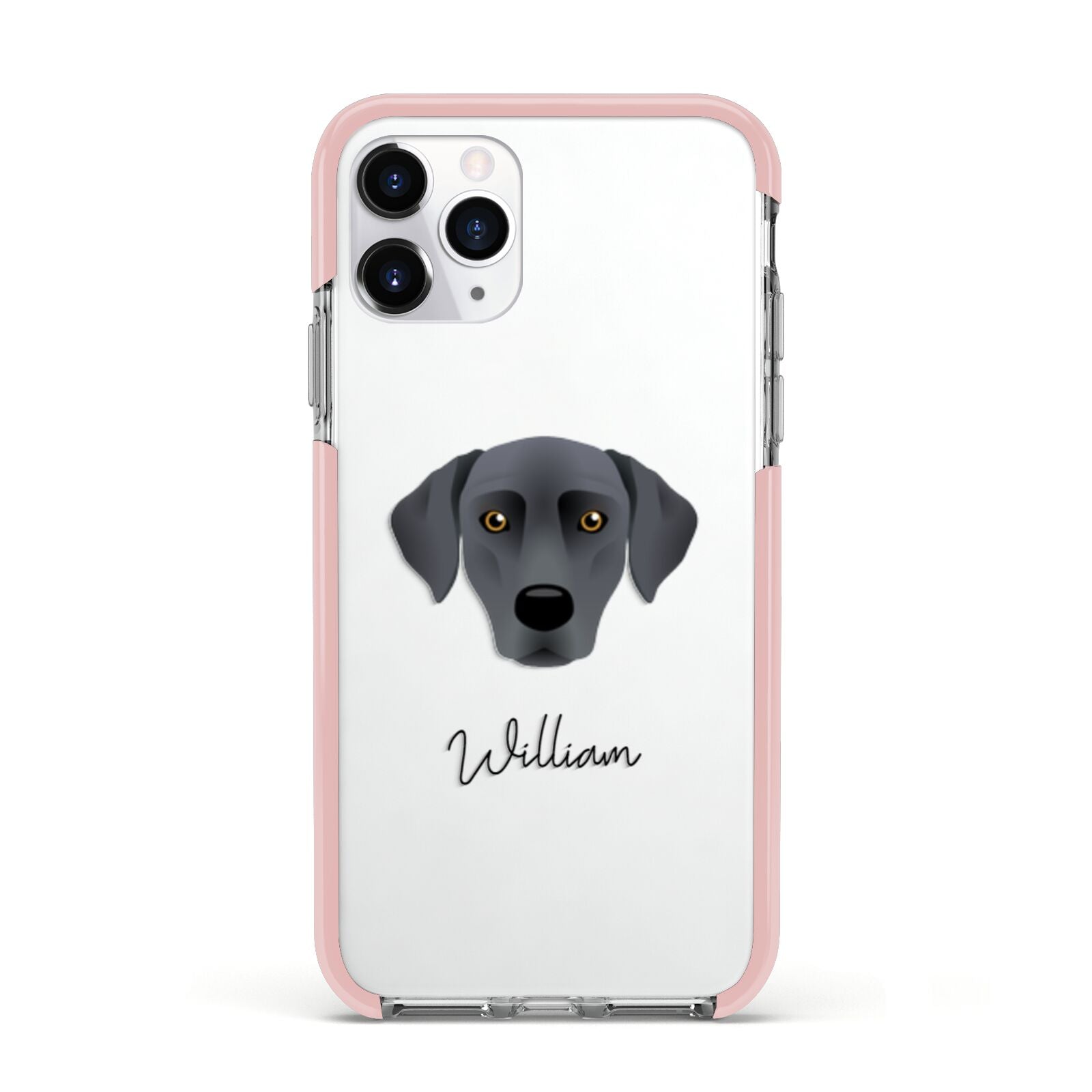 Blue Lacy Personalised Apple iPhone 11 Pro in Silver with Pink Impact Case