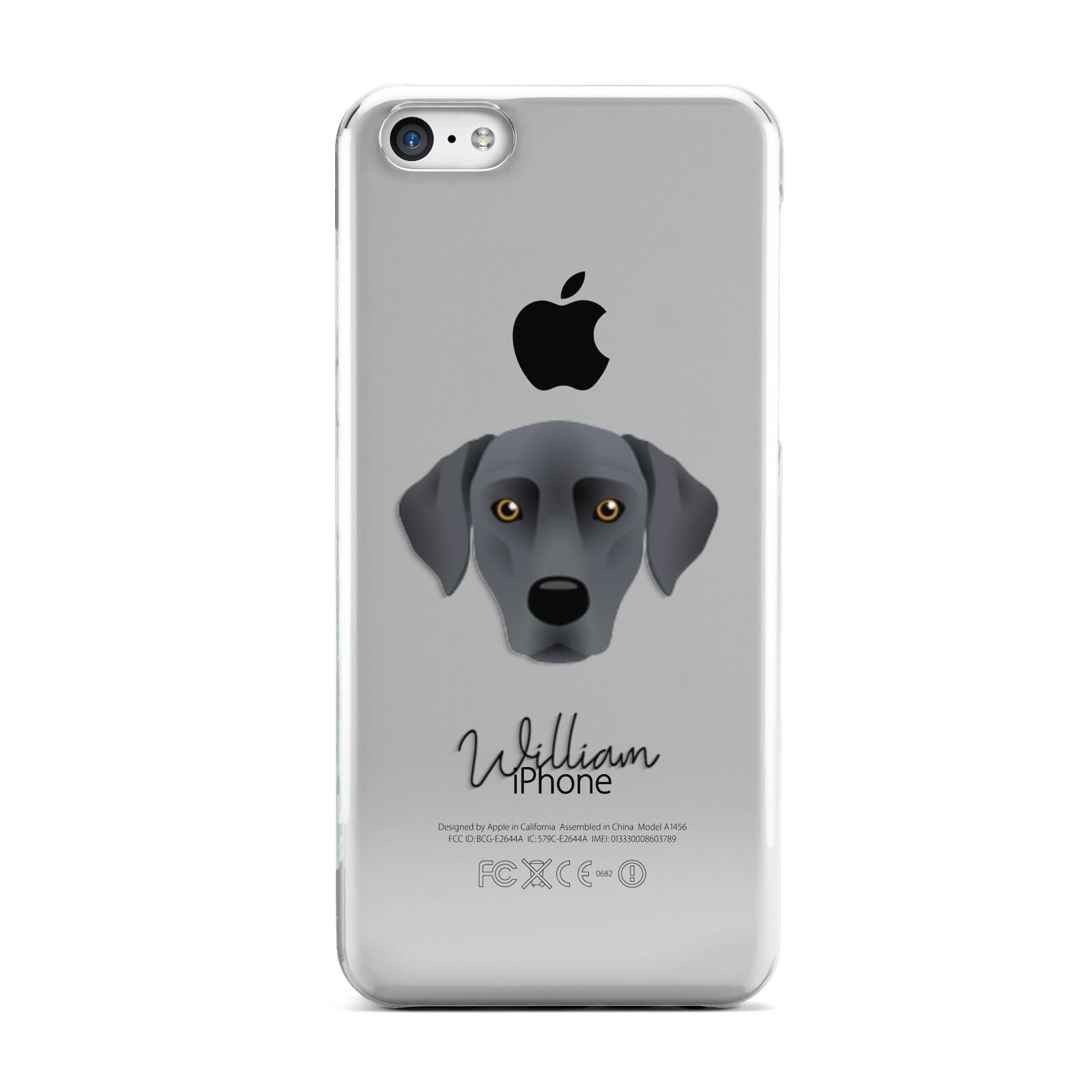 Blue Lacy Personalised Apple iPhone 5c Case