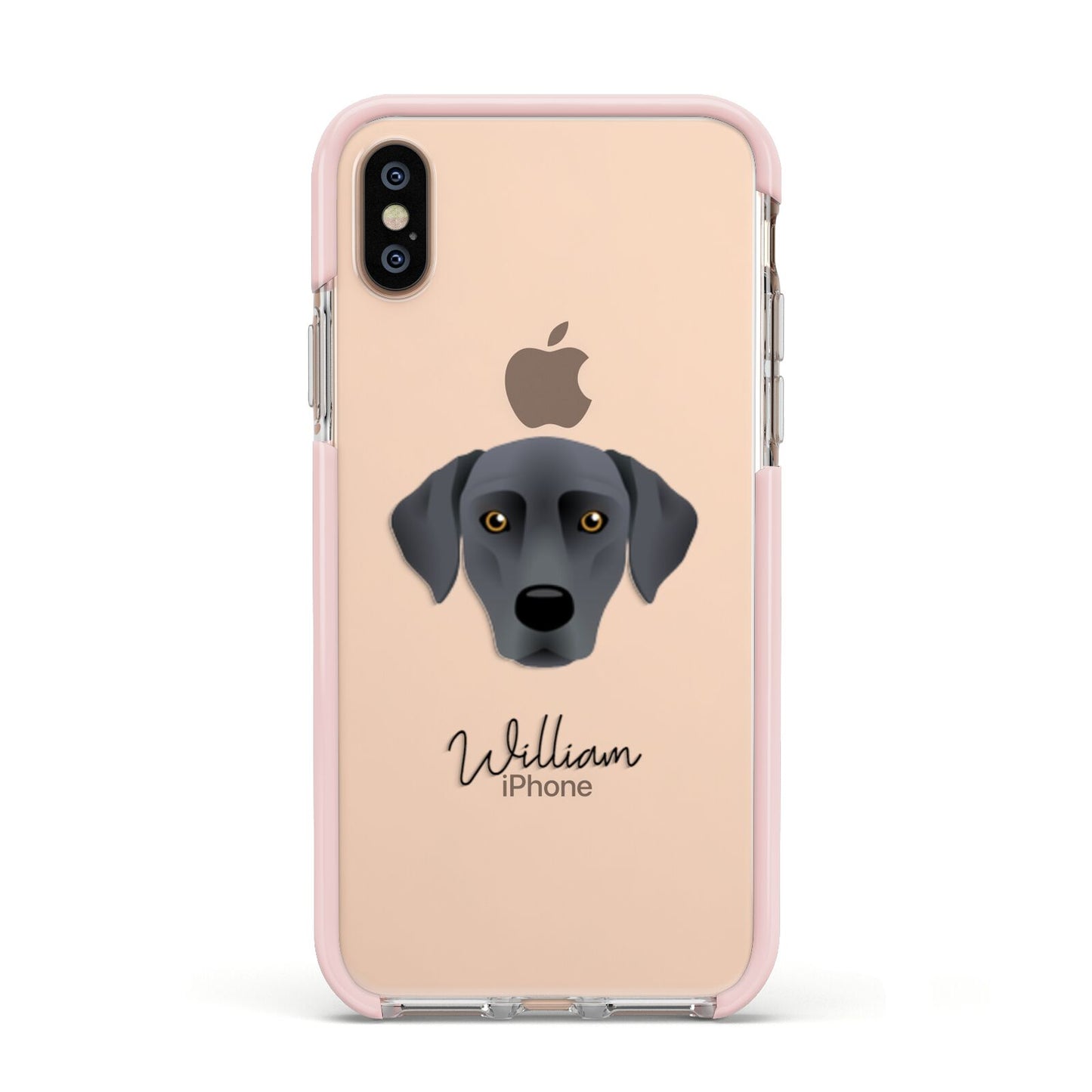 Blue Lacy Personalised Apple iPhone Xs Impact Case Pink Edge on Gold Phone