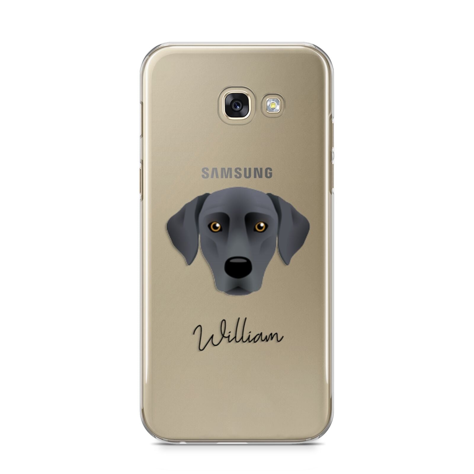 Blue Lacy Personalised Samsung Galaxy A5 2017 Case on gold phone