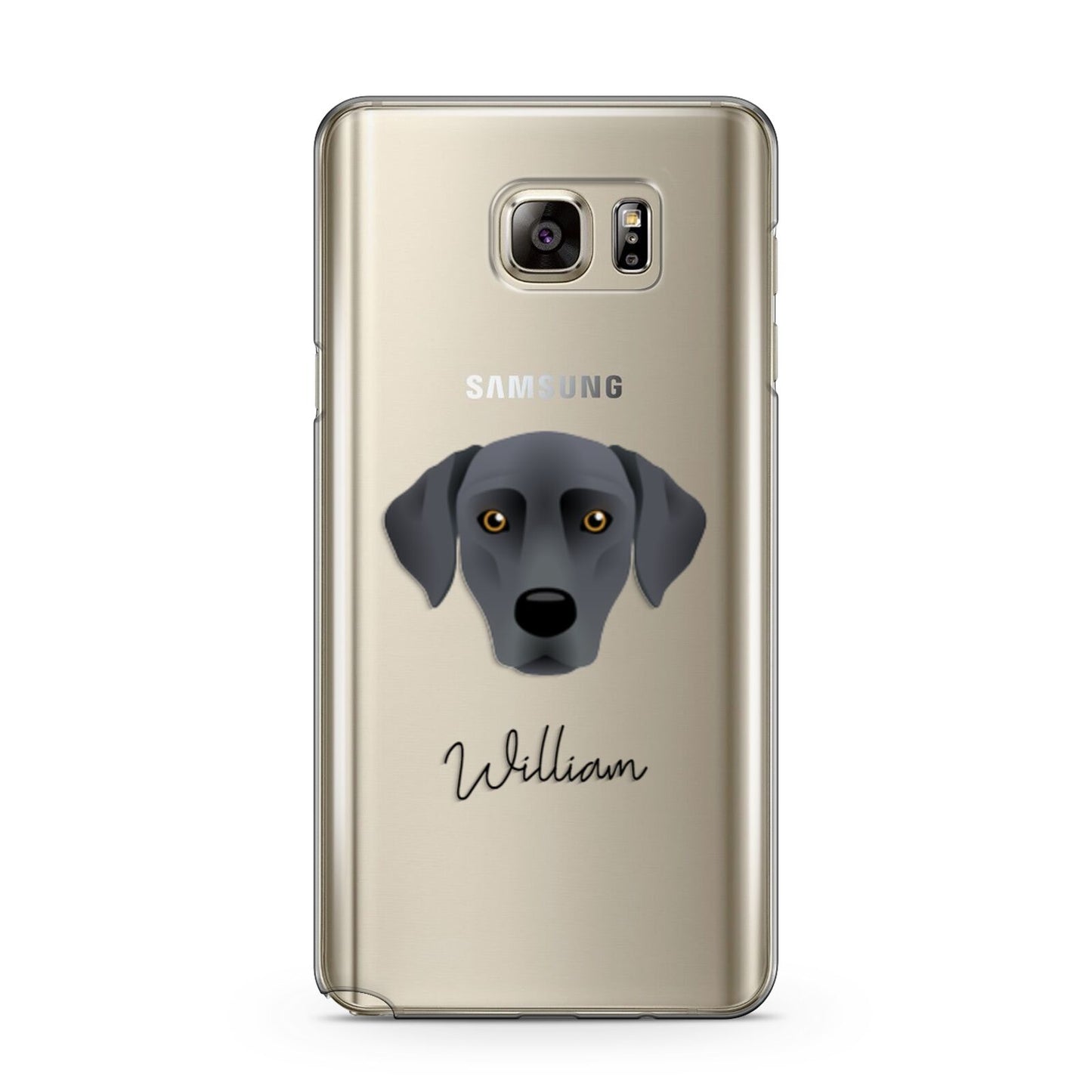 Blue Lacy Personalised Samsung Galaxy Note 5 Case