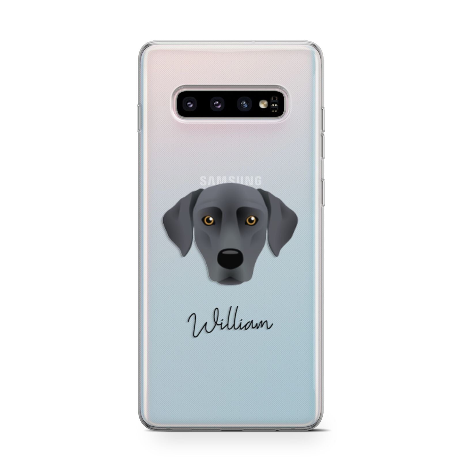 Blue Lacy Personalised Samsung Galaxy S10 Case