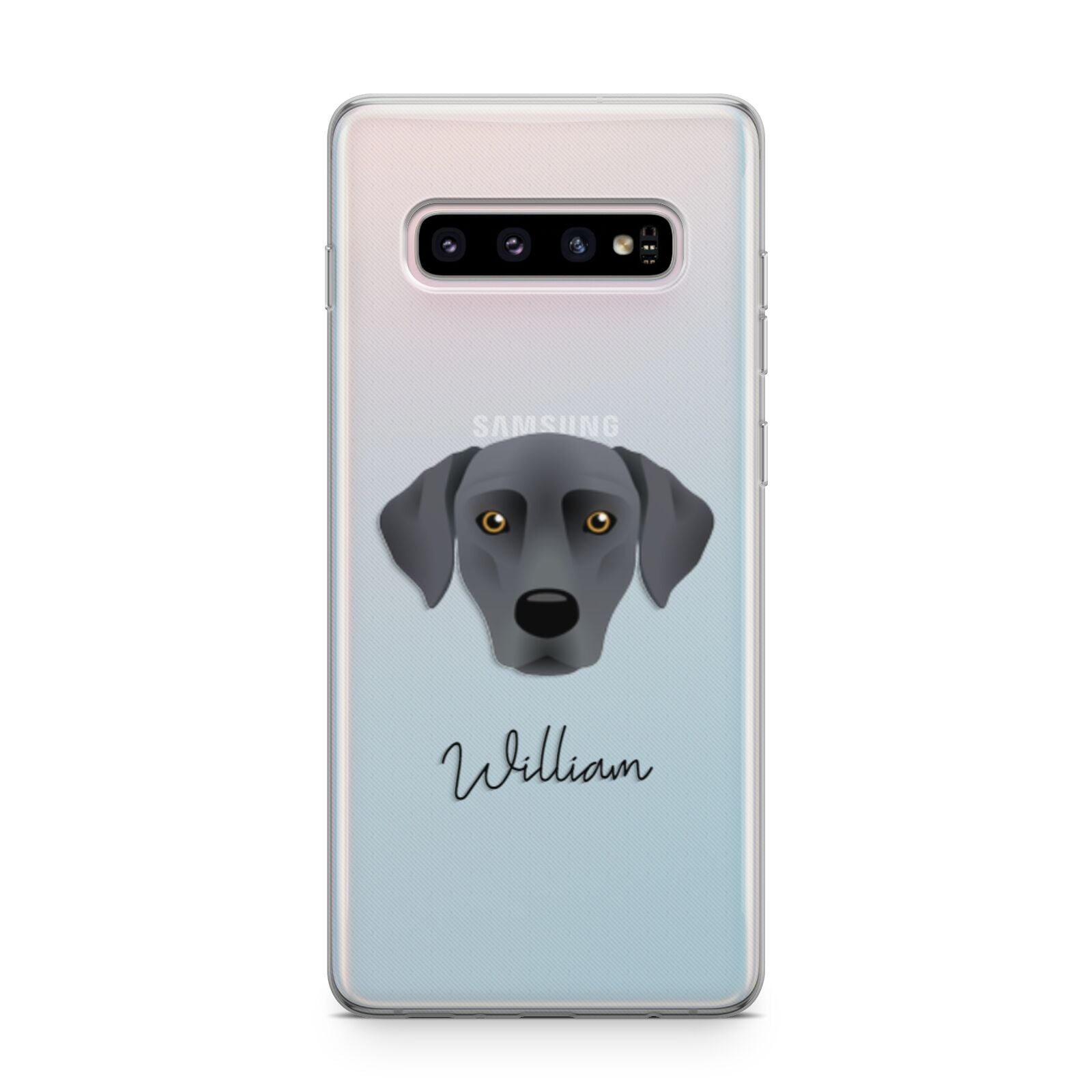 Blue Lacy Personalised Samsung Galaxy S10 Plus Case
