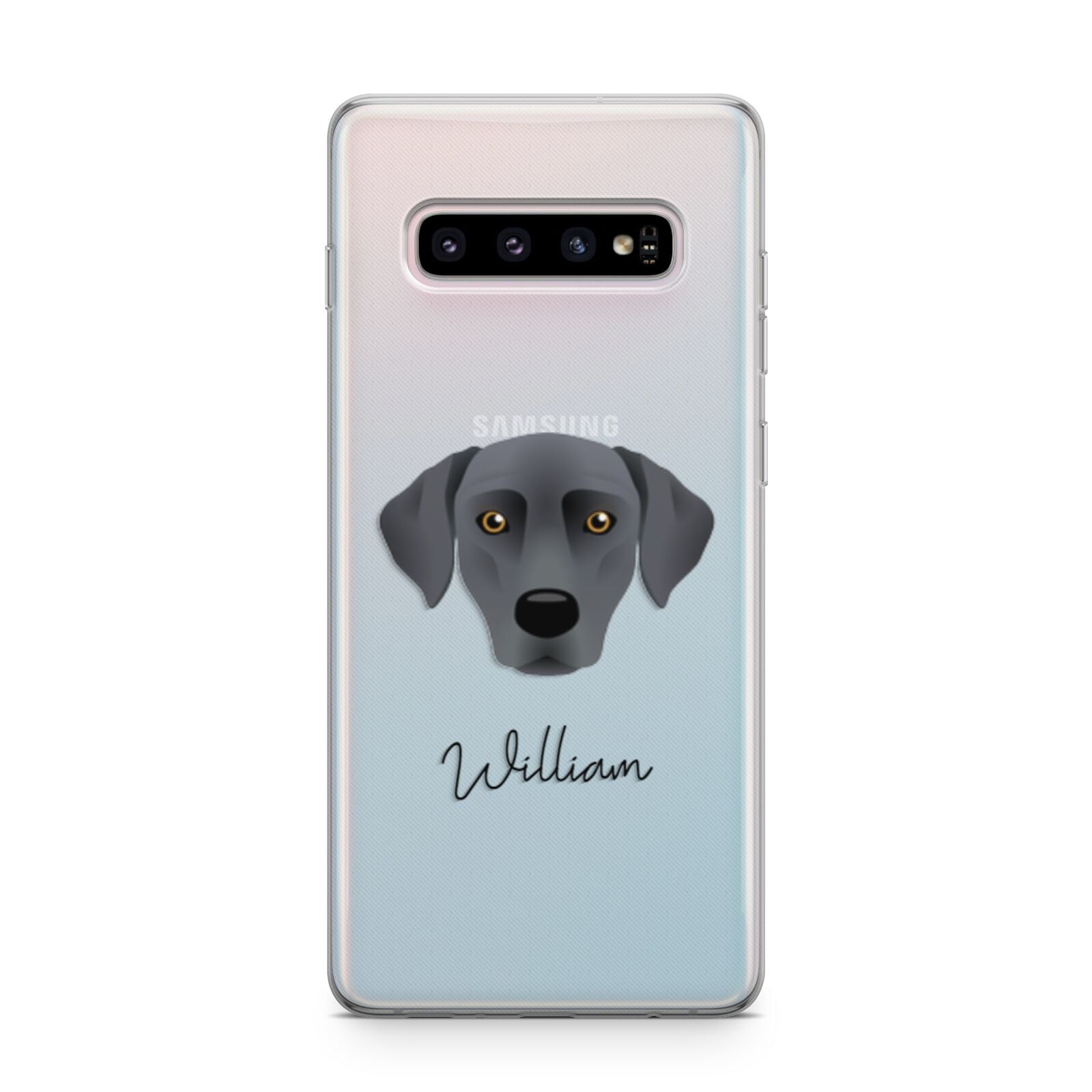 Blue Lacy Personalised Samsung Galaxy S10 Plus Case