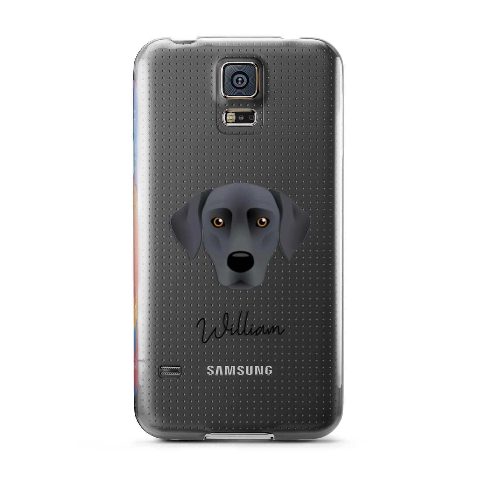 Blue Lacy Personalised Samsung Galaxy S5 Case