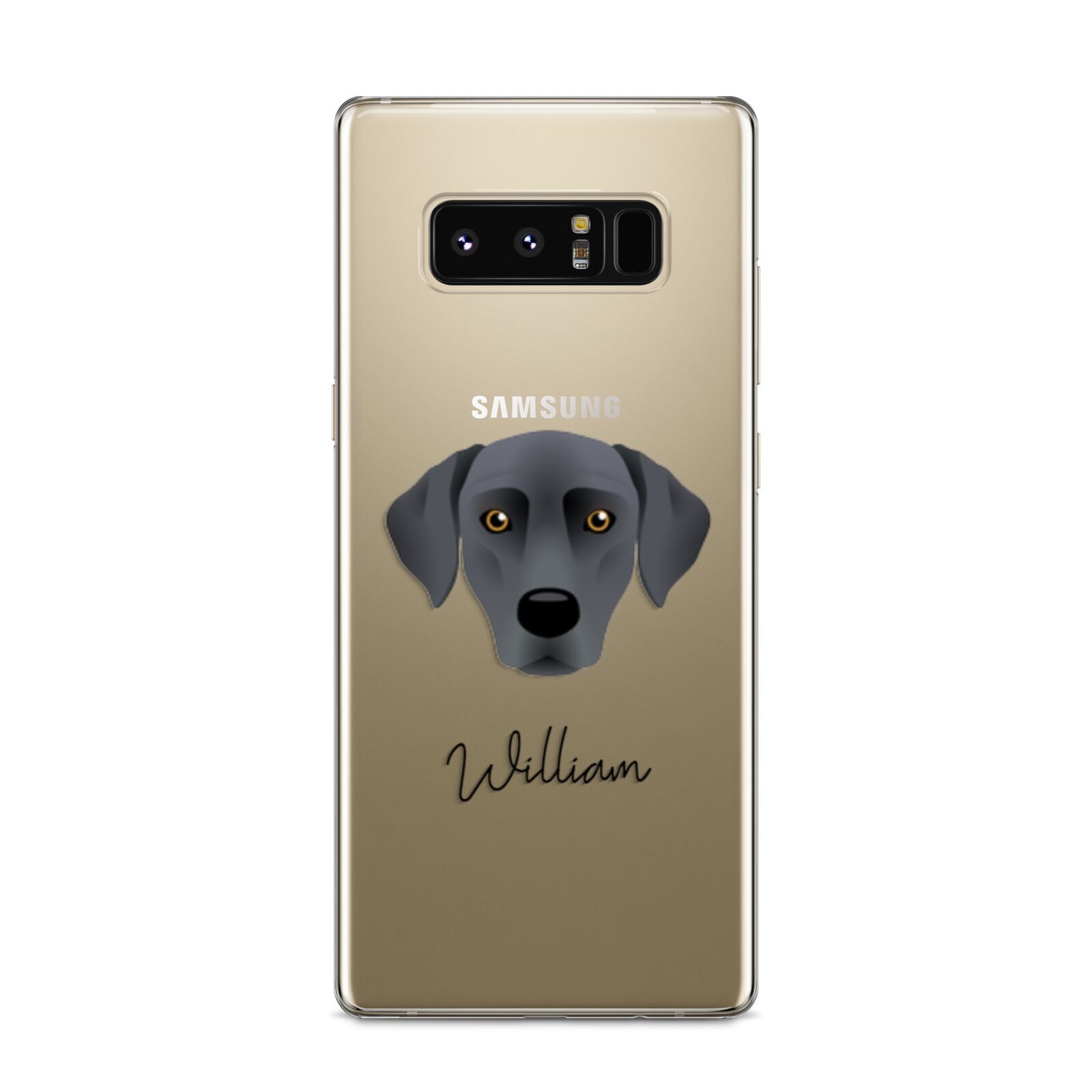 Blue Lacy Personalised Samsung Galaxy S8 Case