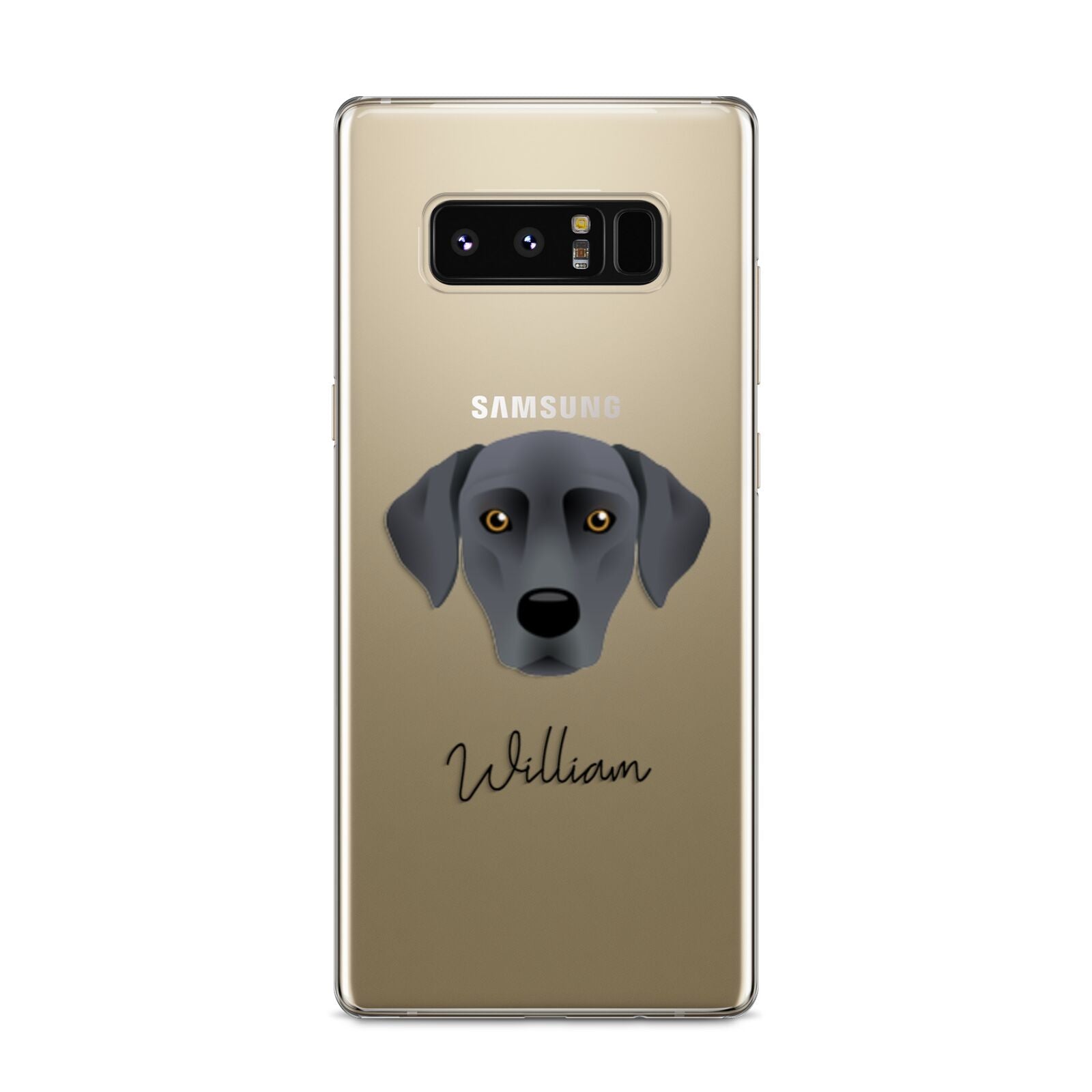 Blue Lacy Personalised Samsung Galaxy S8 Case