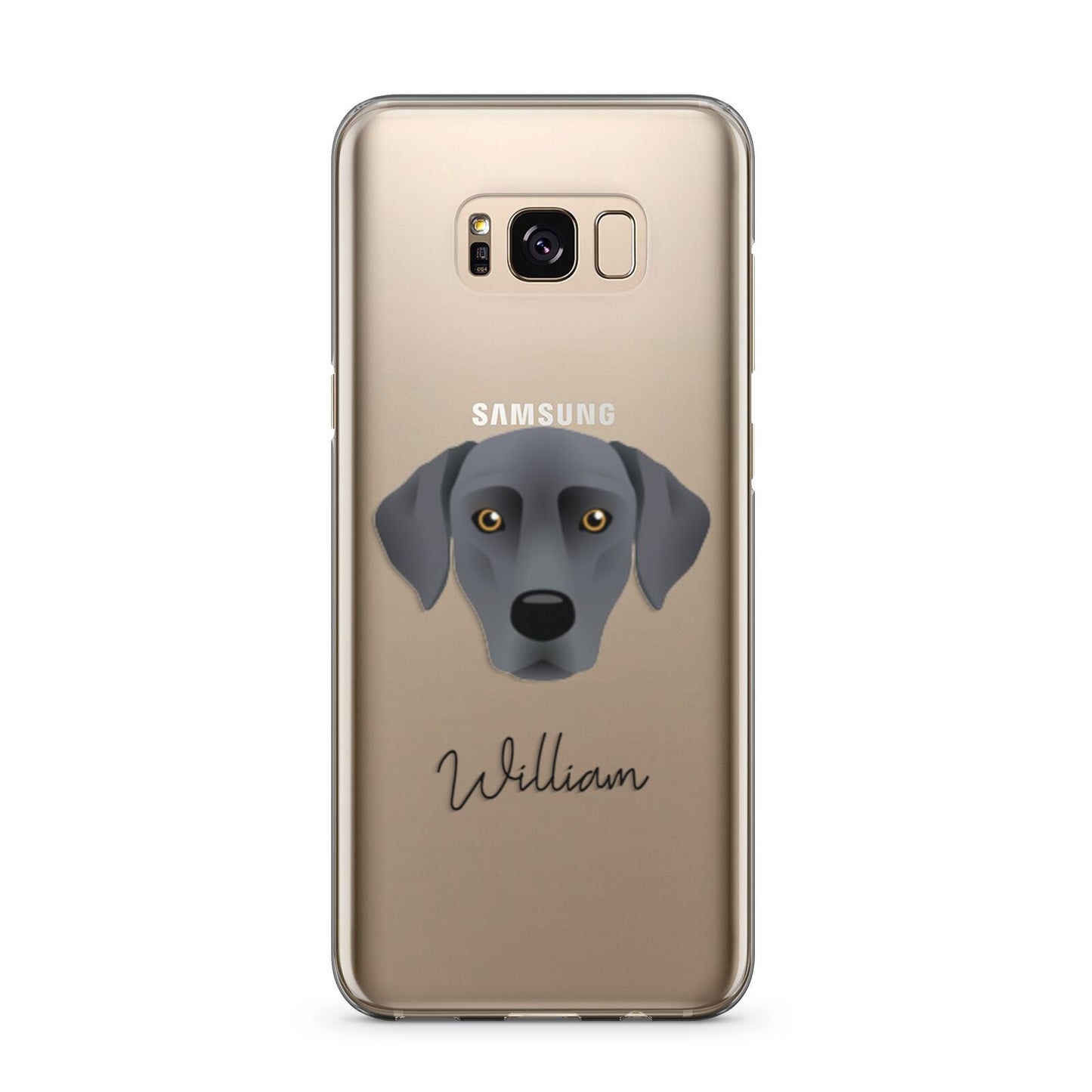 Blue Lacy Personalised Samsung Galaxy S8 Plus Case
