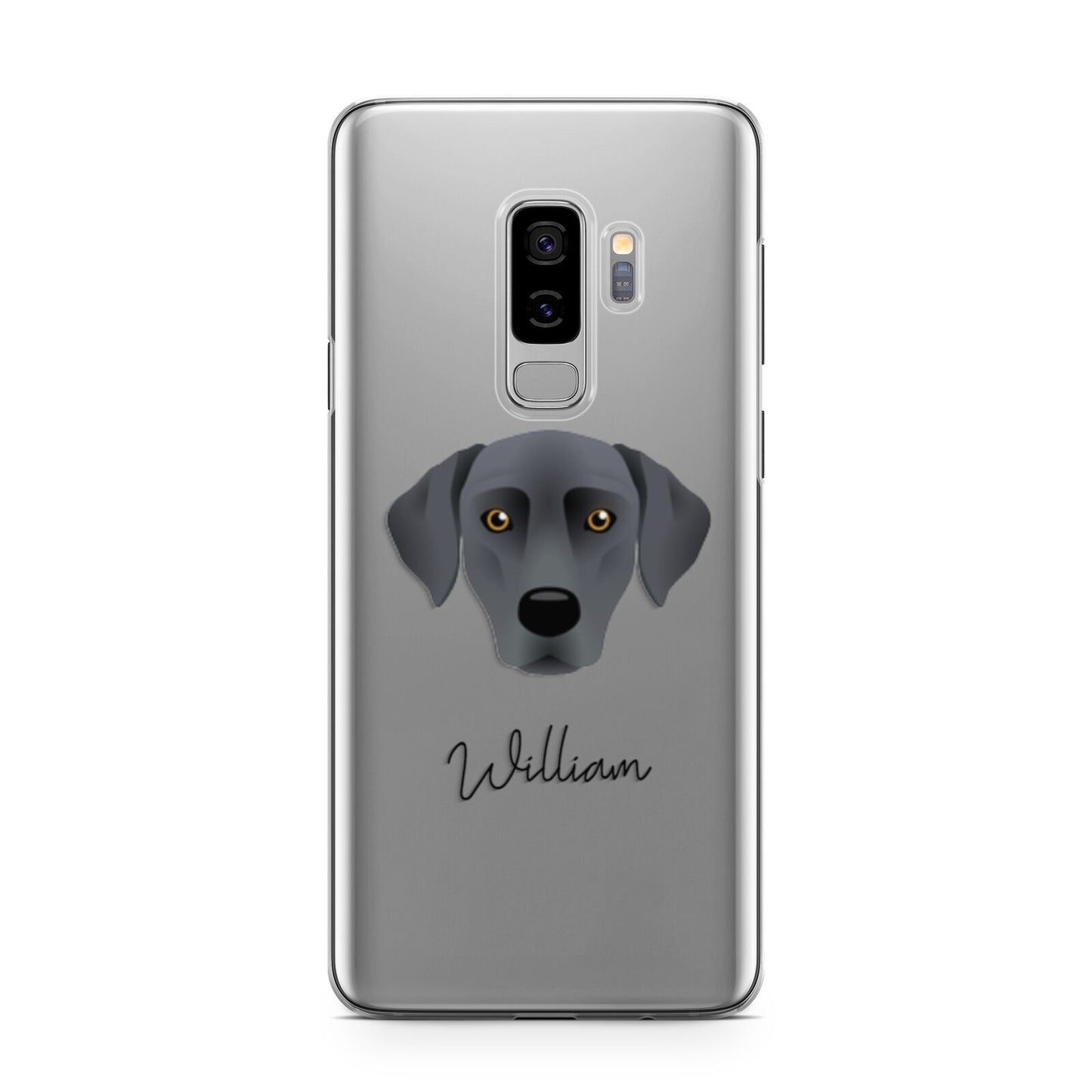 Blue Lacy Personalised Samsung Galaxy S9 Plus Case on Silver phone