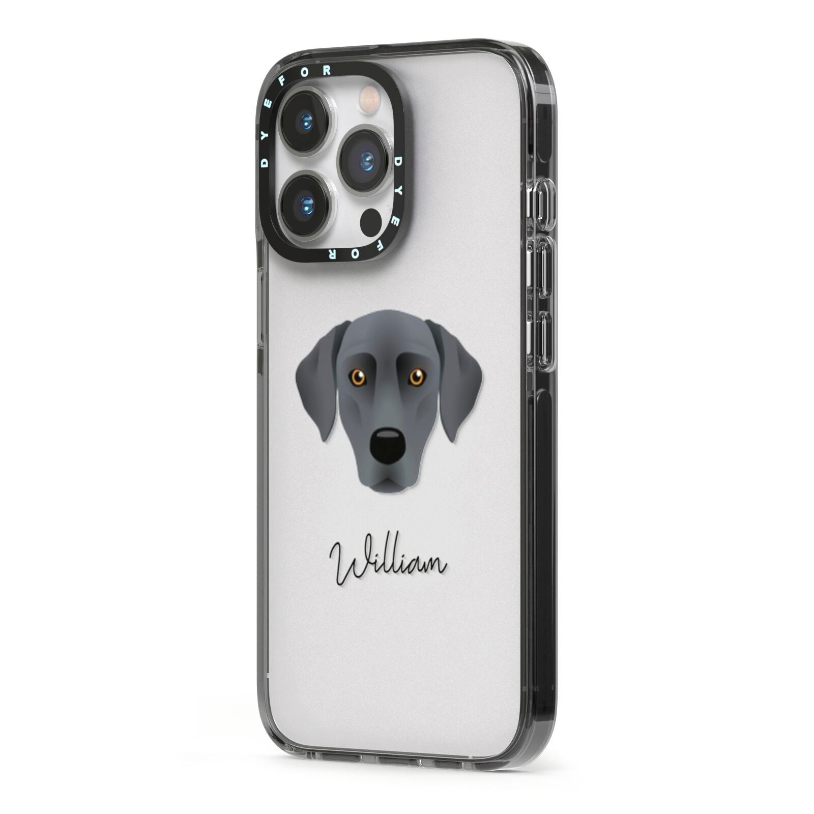 Blue Lacy Personalised iPhone 13 Pro Black Impact Case Side Angle on Silver phone