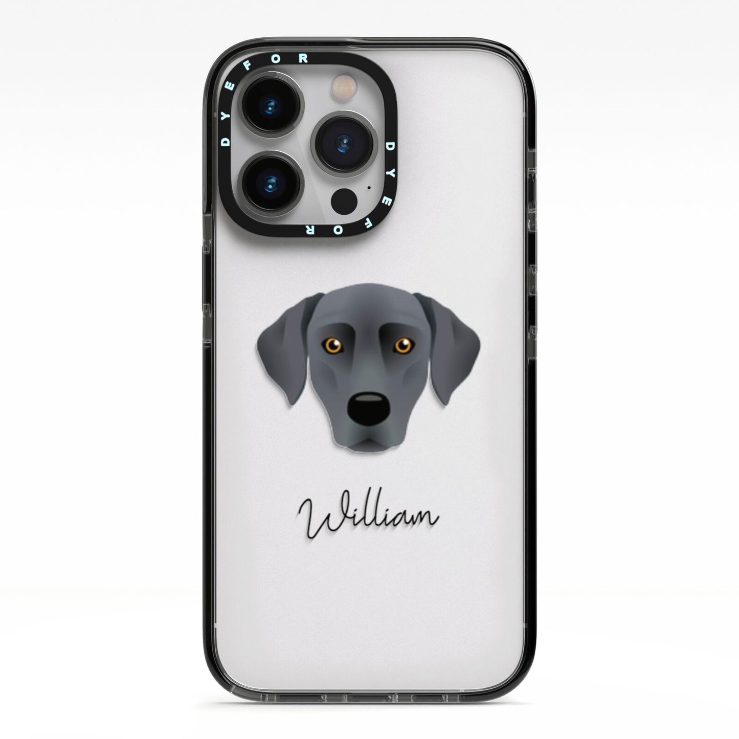 Blue Lacy Personalised iPhone 13 Pro Black Impact Case on Silver phone