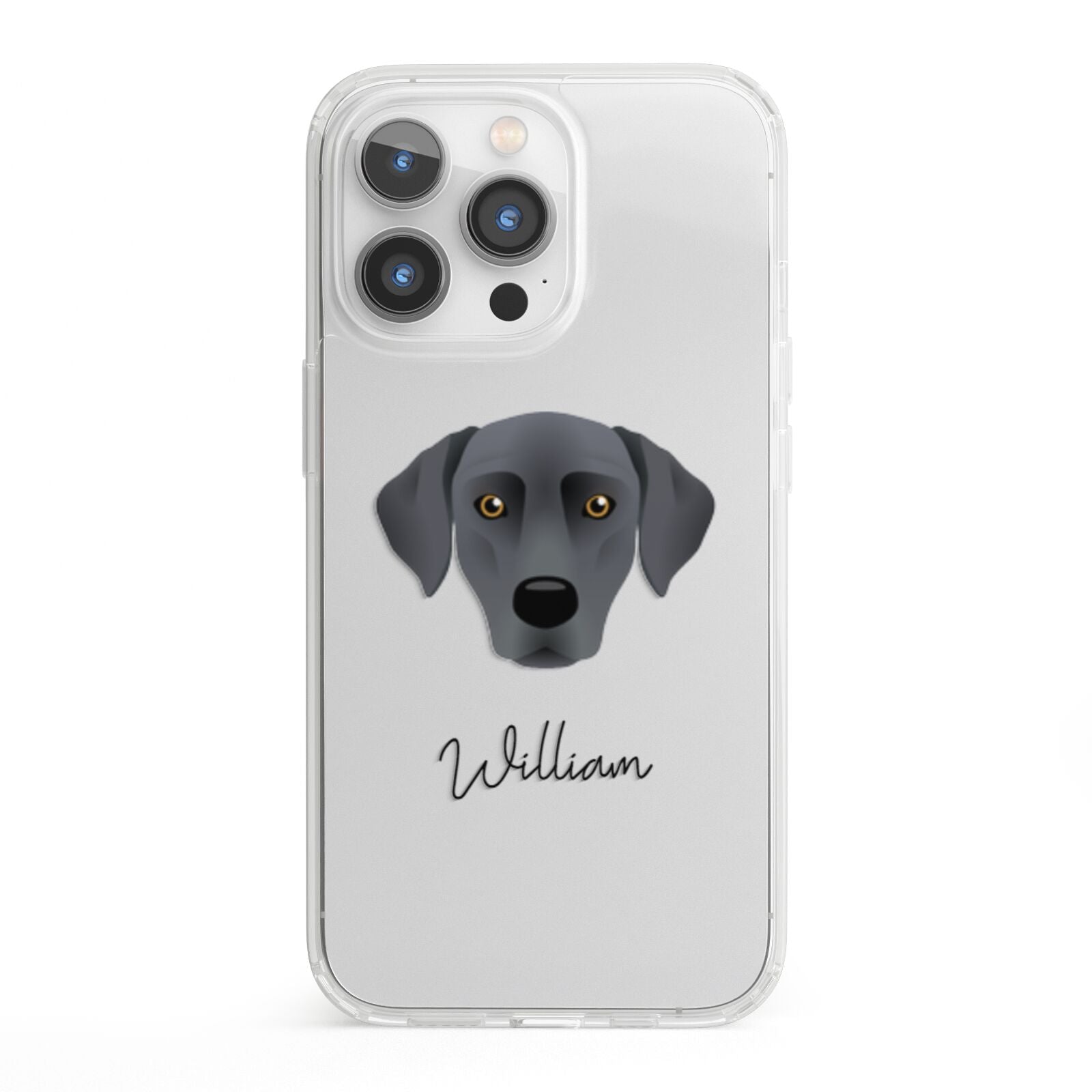 Blue Lacy Personalised iPhone 13 Pro Clear Bumper Case