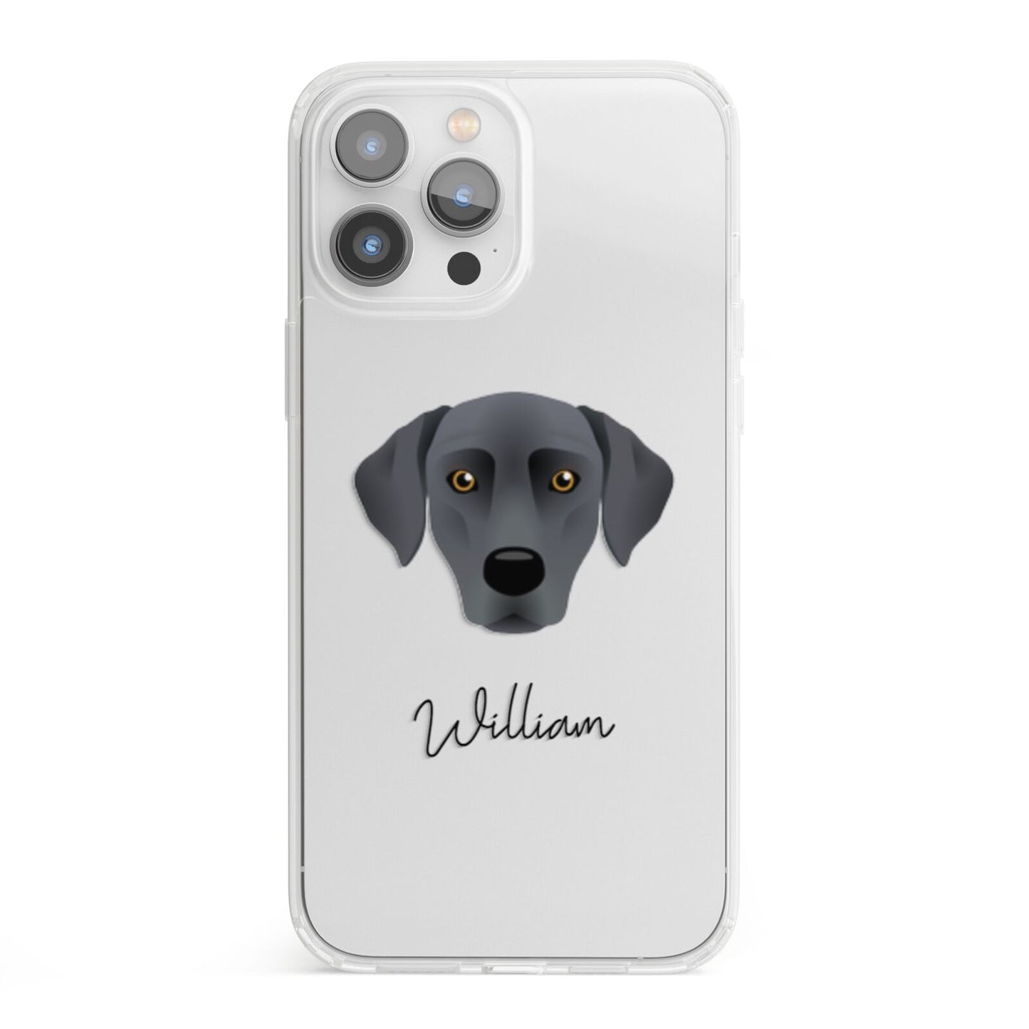 Blue Lacy Personalised iPhone 13 Pro Max Clear Bumper Case