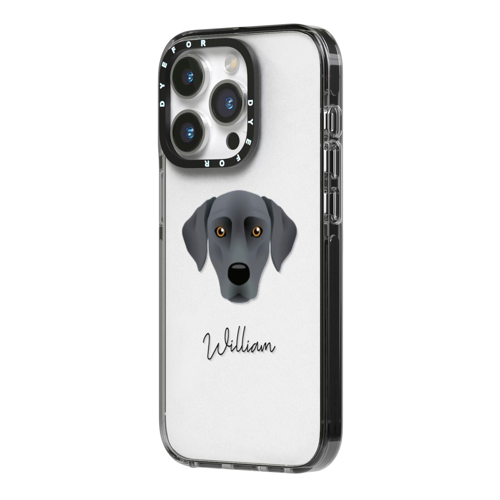 Blue Lacy Personalised iPhone 14 Pro Black Impact Case Side Angle on Silver phone