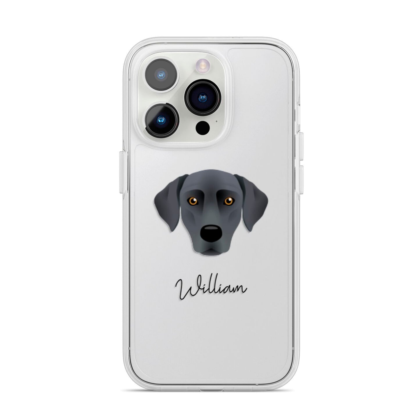 Blue Lacy Personalised iPhone 14 Pro Clear Tough Case Silver