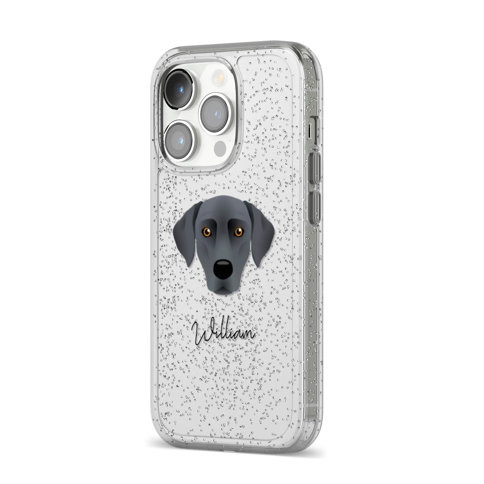 Blue Lacy Personalised iPhone 14 Pro Glitter Tough Case Silver Angled Image