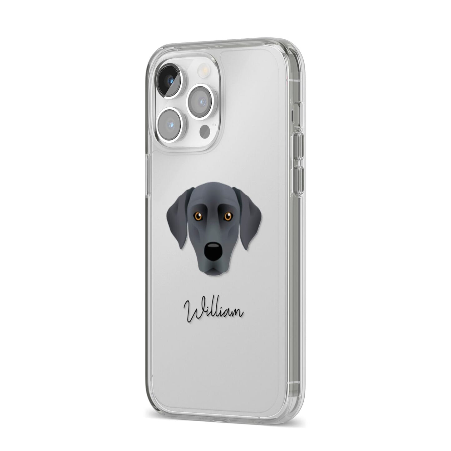 Blue Lacy Personalised iPhone 14 Pro Max Clear Tough Case Silver Angled Image
