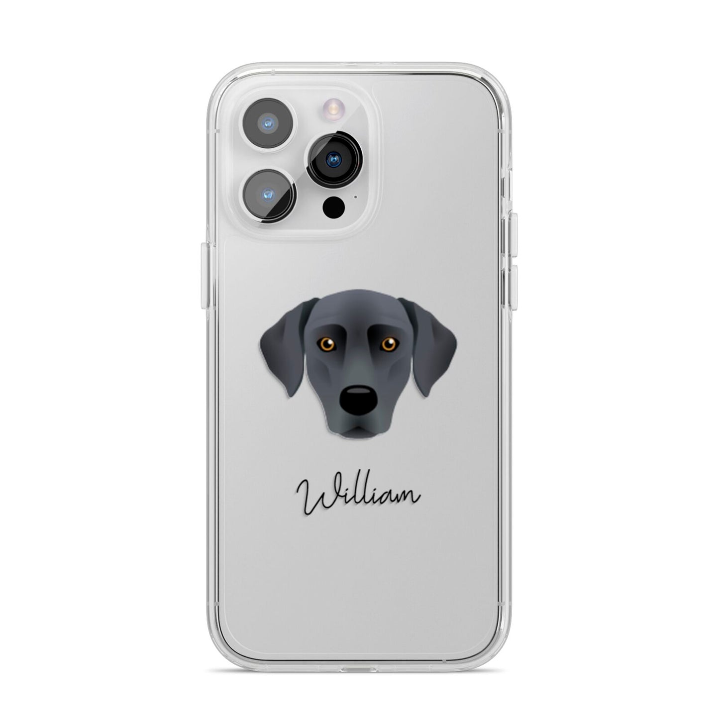 Blue Lacy Personalised iPhone 14 Pro Max Clear Tough Case Silver