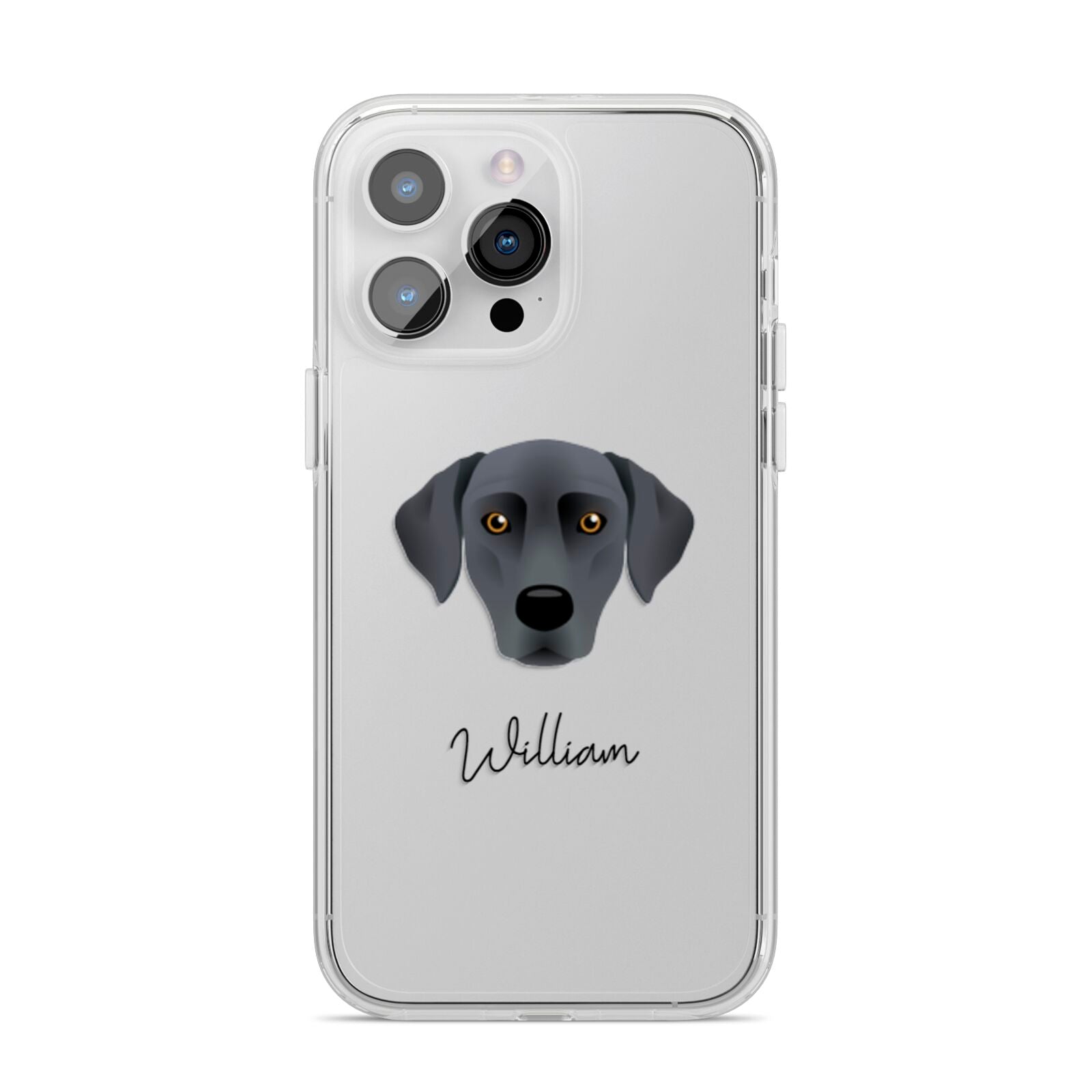 Blue Lacy Personalised iPhone 14 Pro Max Clear Tough Case Silver