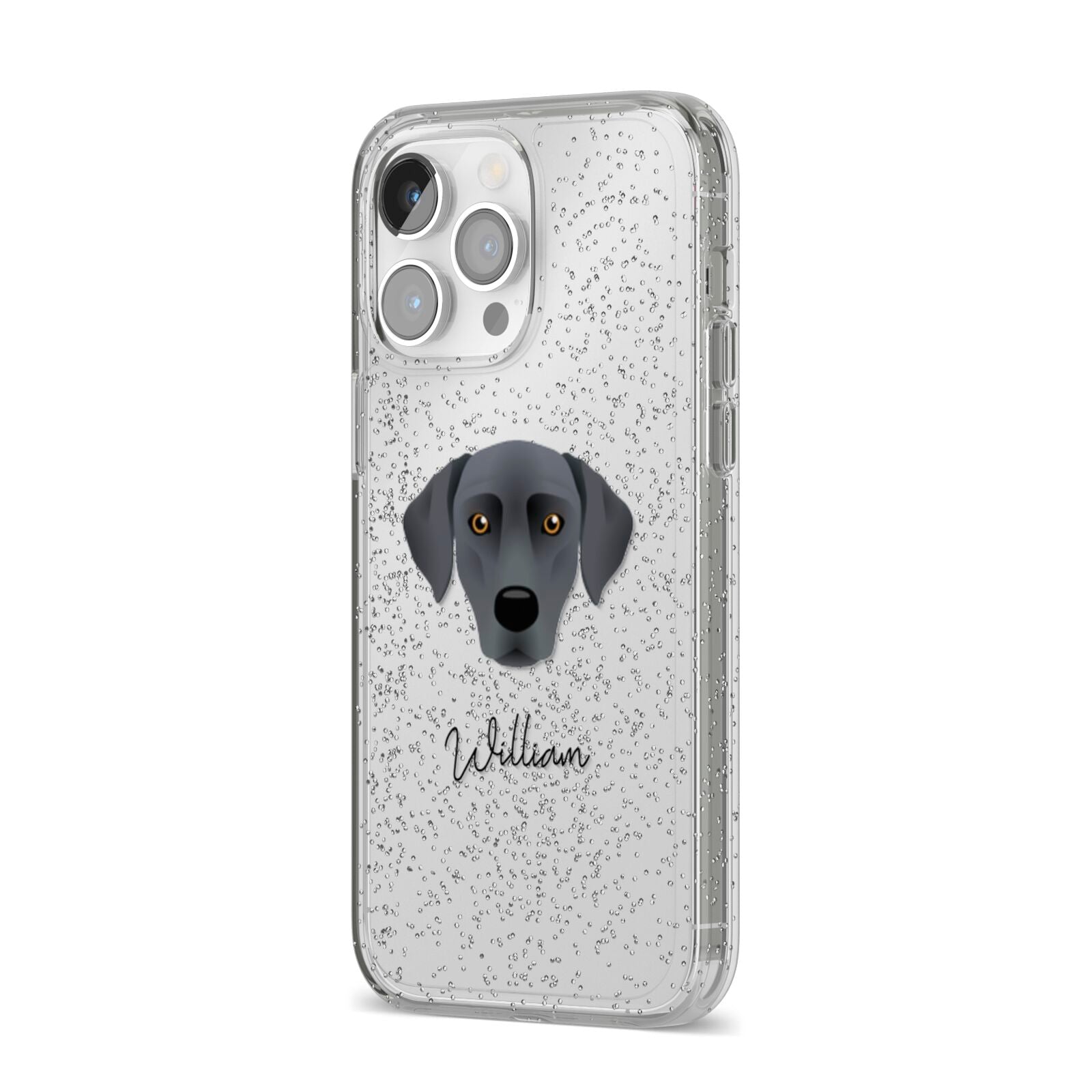 Blue Lacy Personalised iPhone 14 Pro Max Glitter Tough Case Silver Angled Image