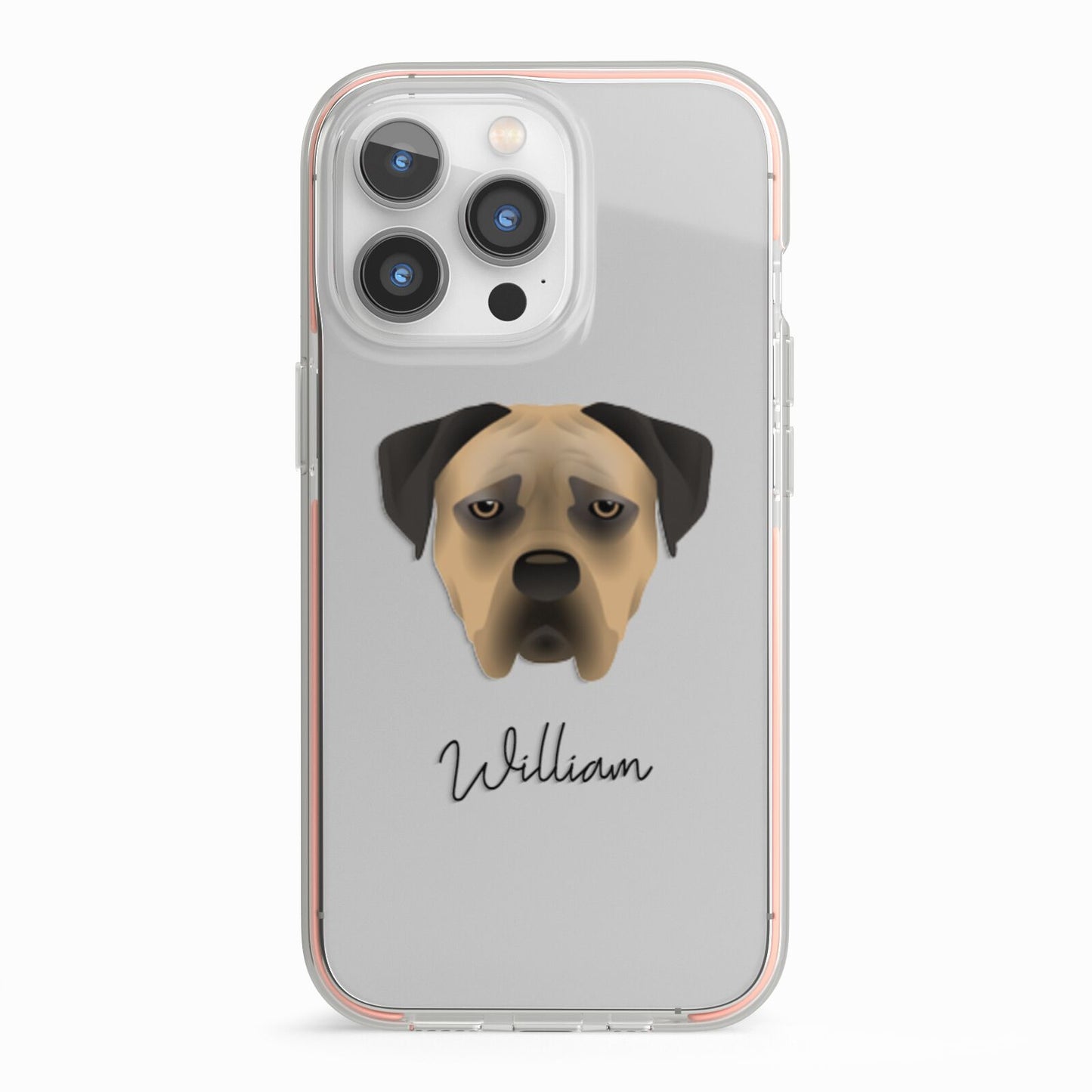 Boerboel Personalised iPhone 13 Pro TPU Impact Case with Pink Edges