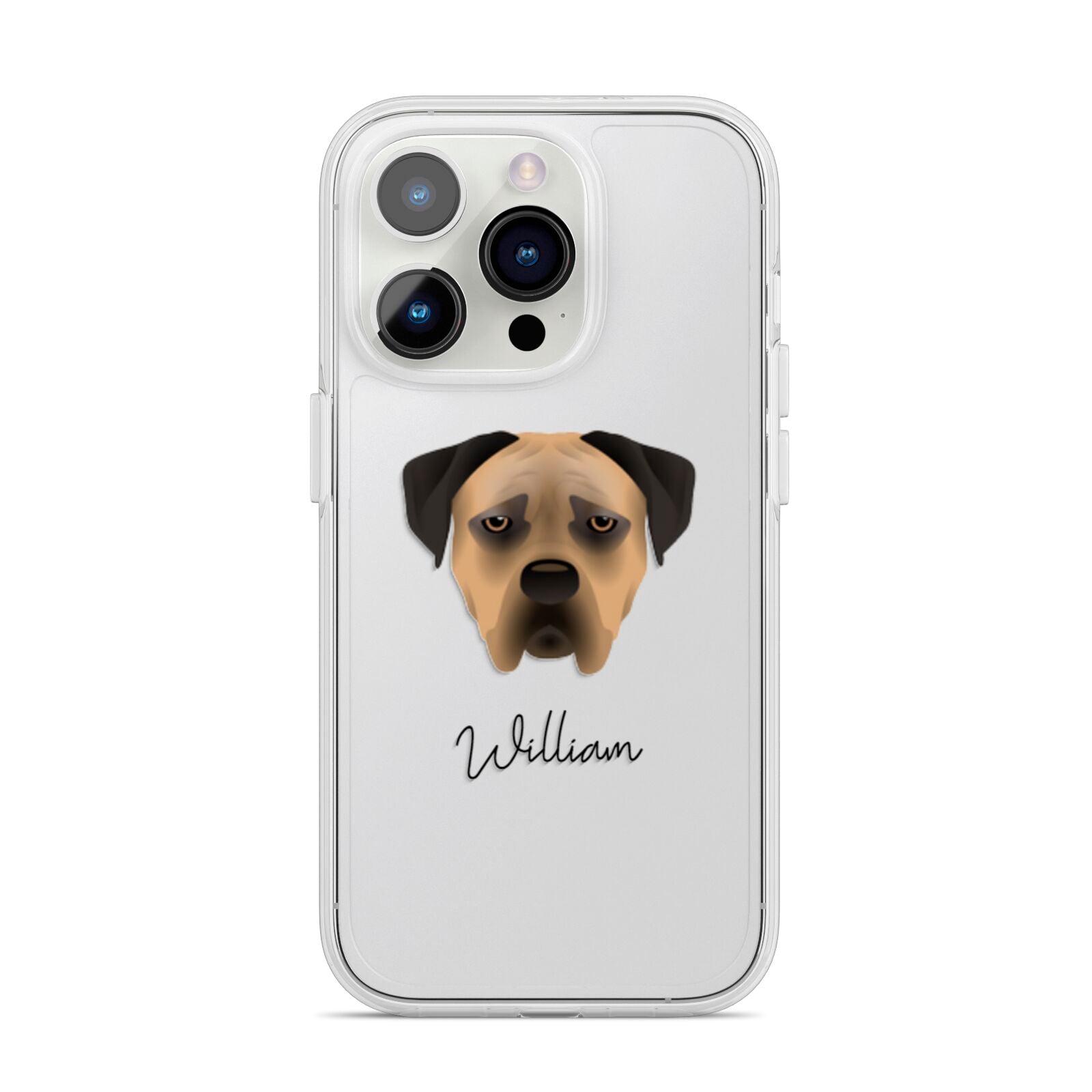 Boerboel Personalised iPhone 14 Pro Clear Tough Case Silver