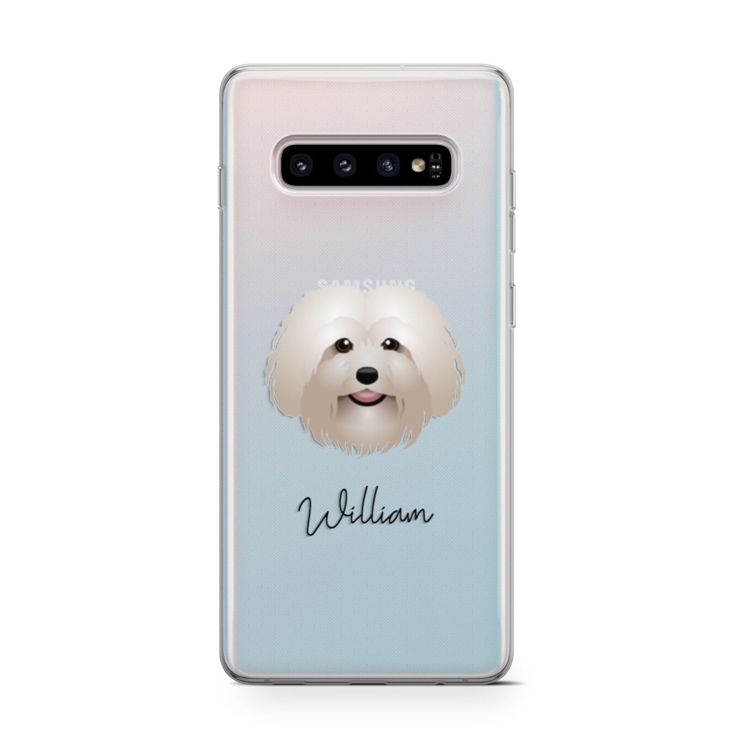 Bolognese Personalised Samsung Galaxy S10 Case
