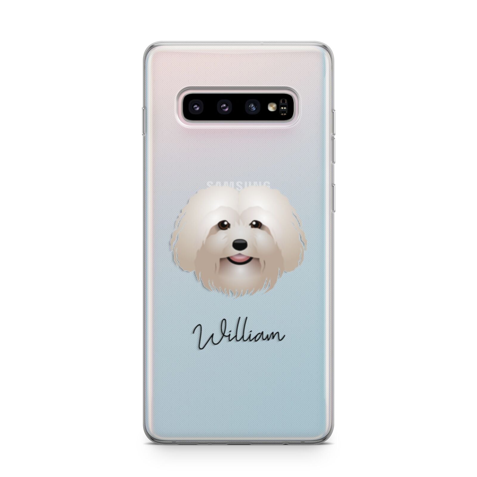 Bolognese Personalised Samsung Galaxy S10 Plus Case