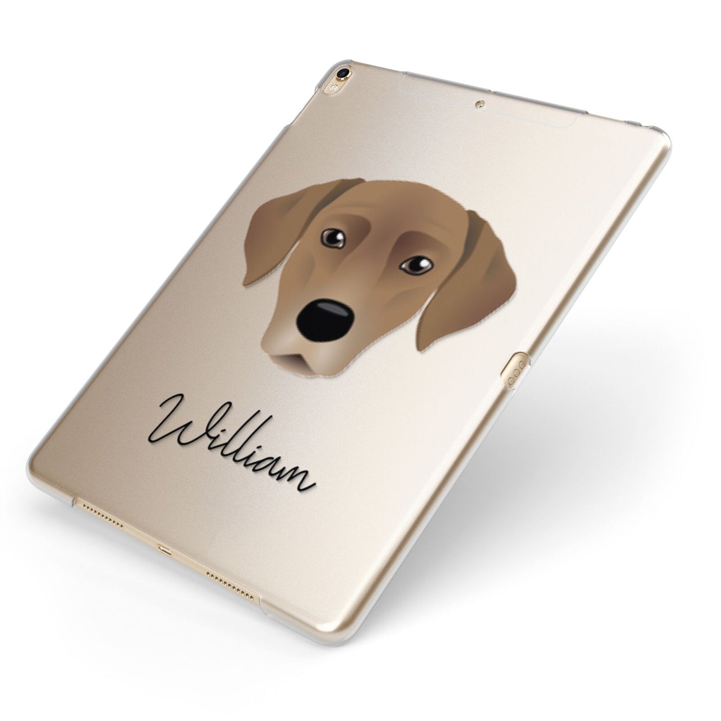 Borador Personalised Apple iPad Case on Gold iPad Side View