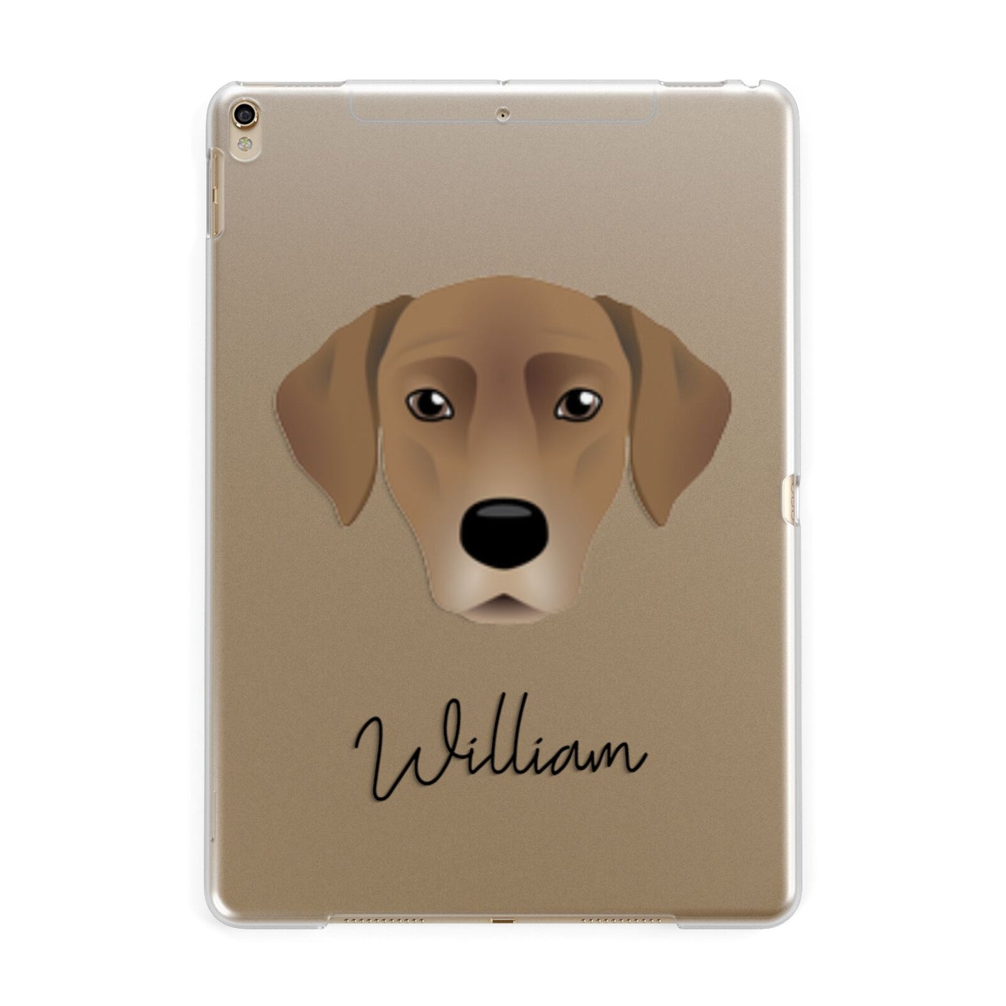Borador Personalised Apple iPad Gold Case