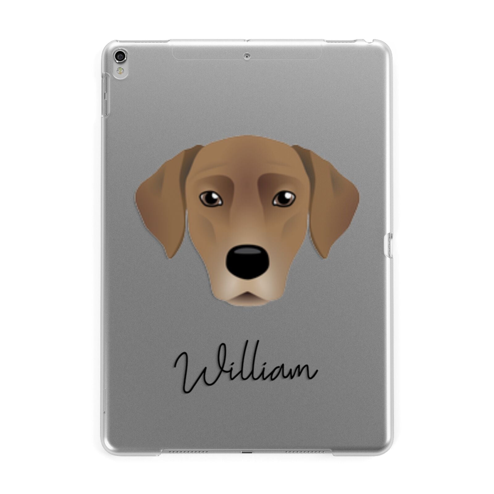 Borador Personalised Apple iPad Silver Case