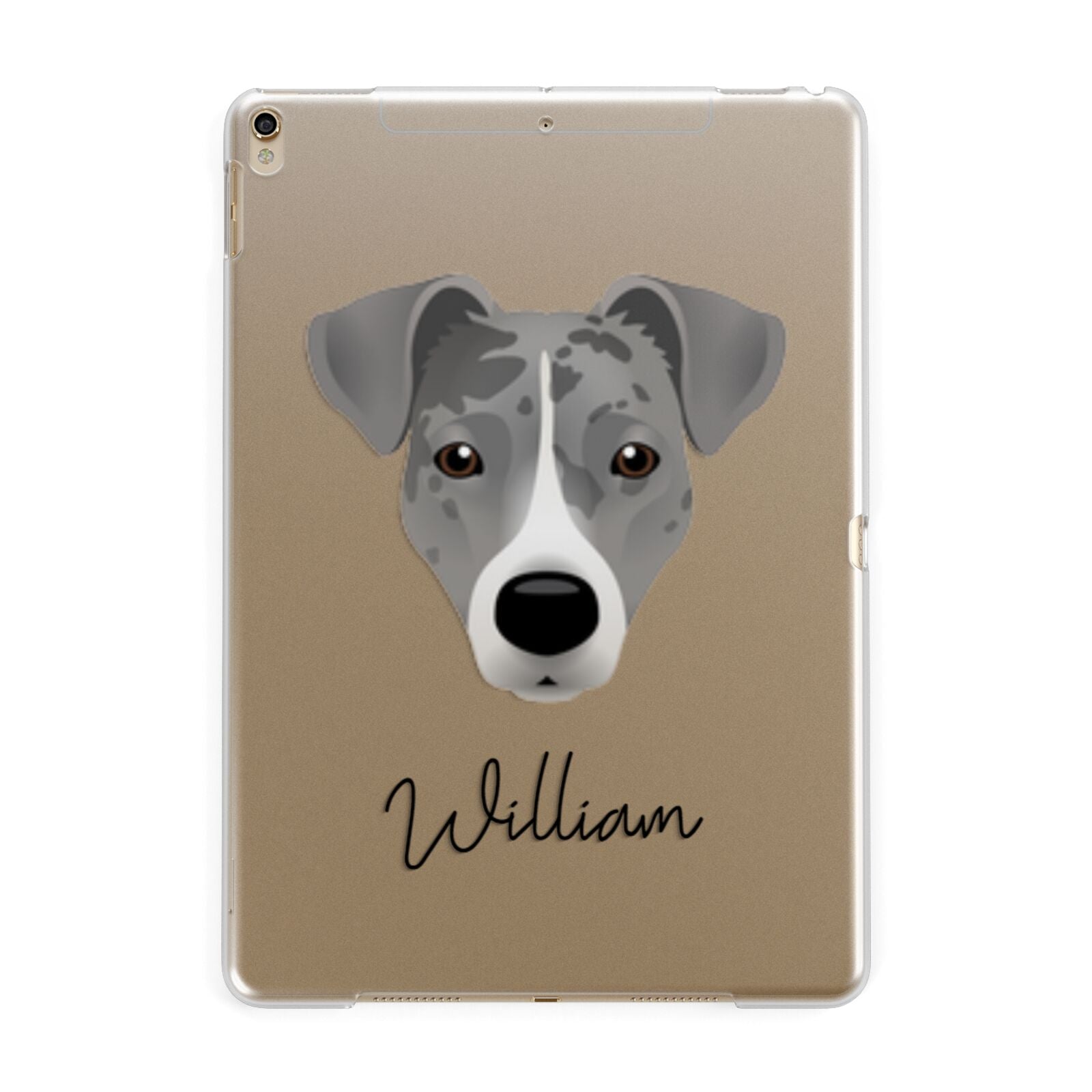 Border Jack Personalised Apple iPad Gold Case