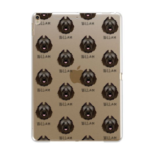 Bouvier Des Flandres Icon with Name Apple iPad Gold Case