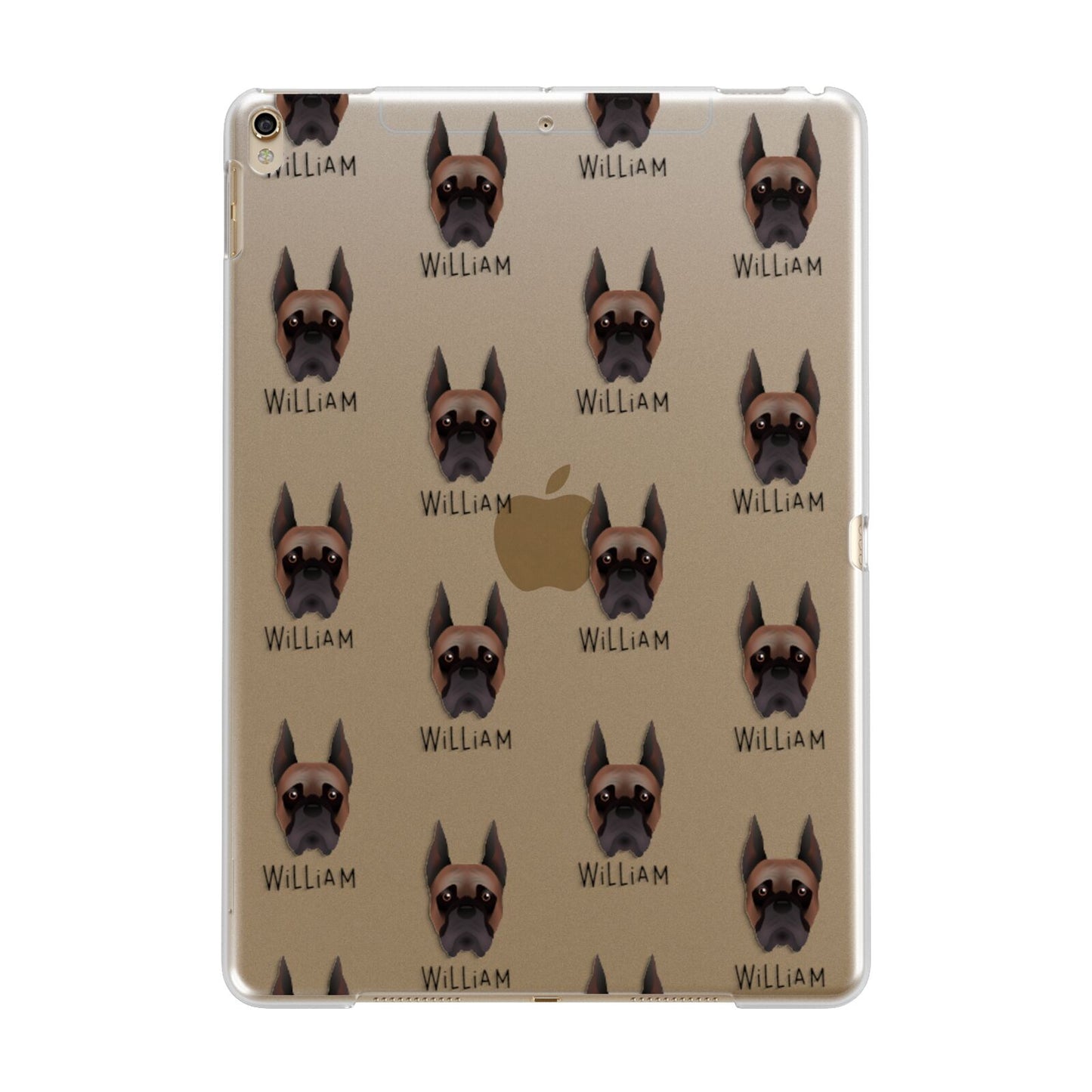 Boxer Icon with Name Apple iPad Gold Case