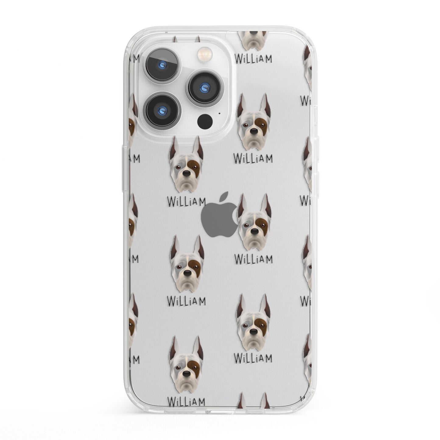 Boxer Icon with Name iPhone 13 Pro Clear Bumper Case