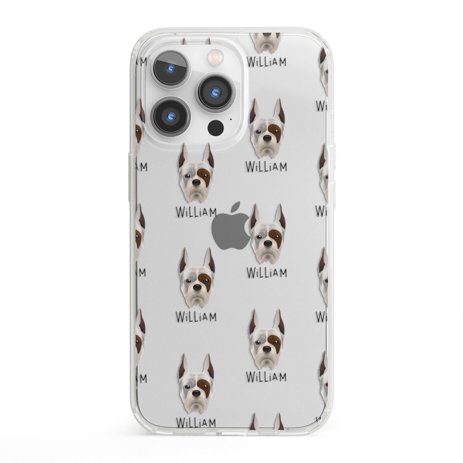 Boxer Icon with Name iPhone 13 Pro Clear Bumper Case