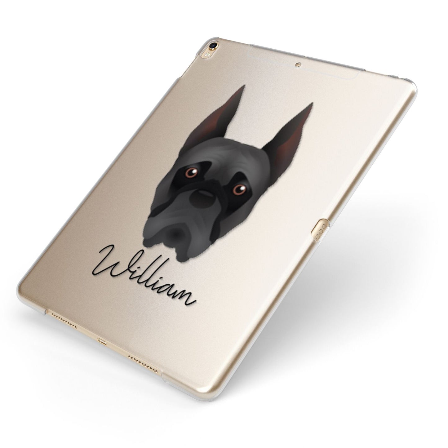 Boxer Personalised Apple iPad Case on Gold iPad Side View