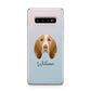 Bracco Italiano Personalised Samsung Galaxy S10 Plus Case