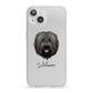 Briard Personalised iPhone 13 Clear Bumper Case