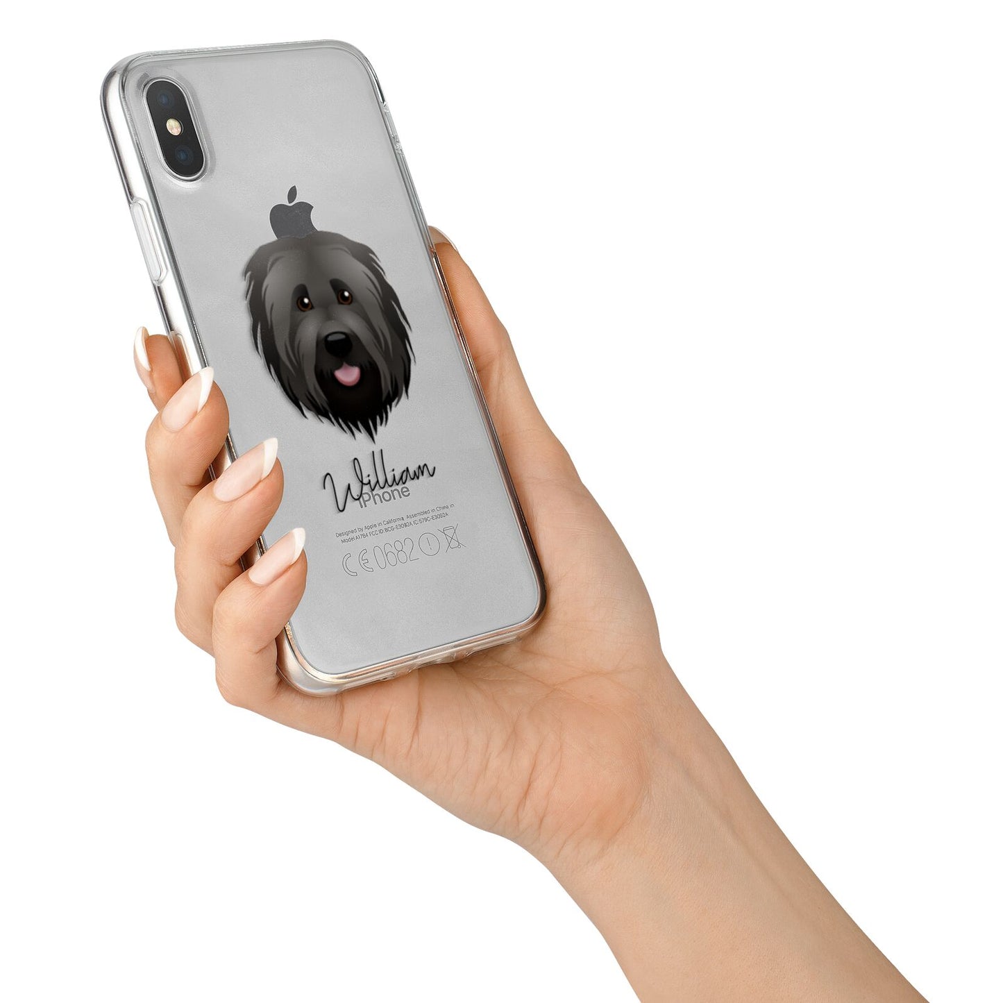 Briard Personalised iPhone X Bumper Case on Silver iPhone Alternative Image 2